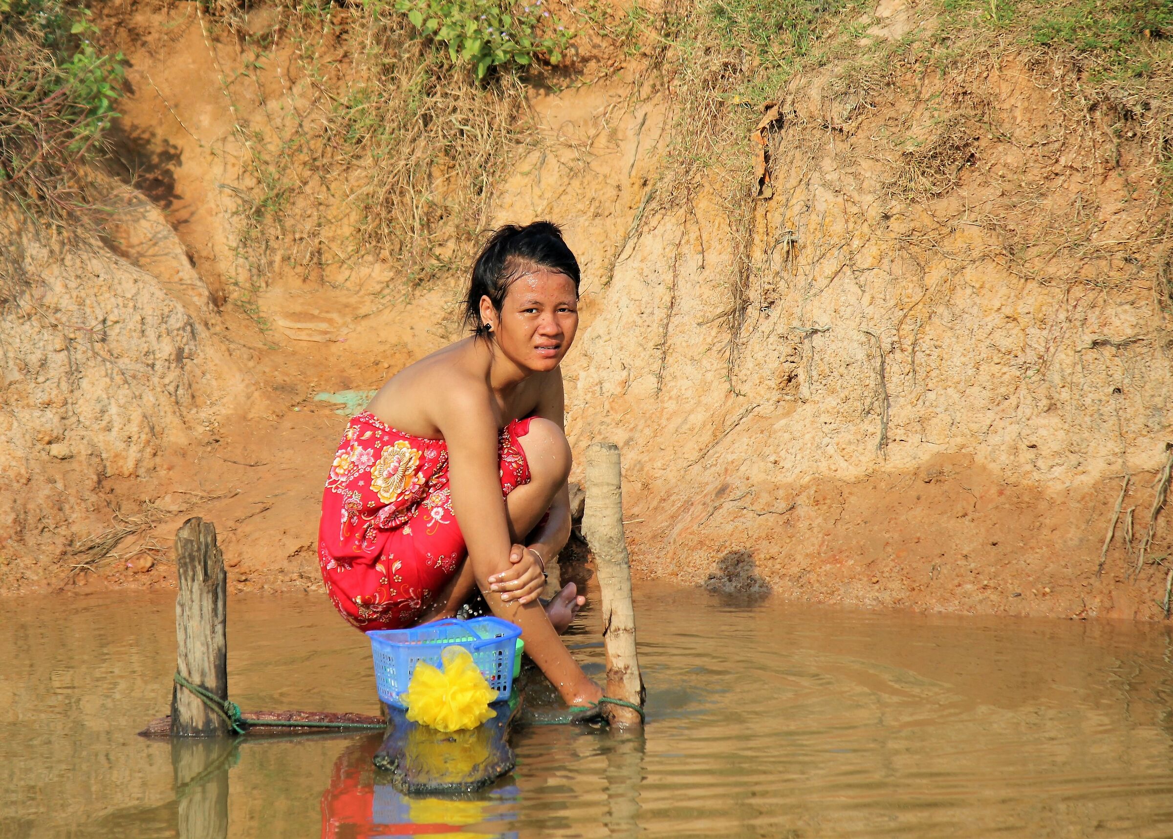 The Channel nymph-Tonlè Sap-Cambodia