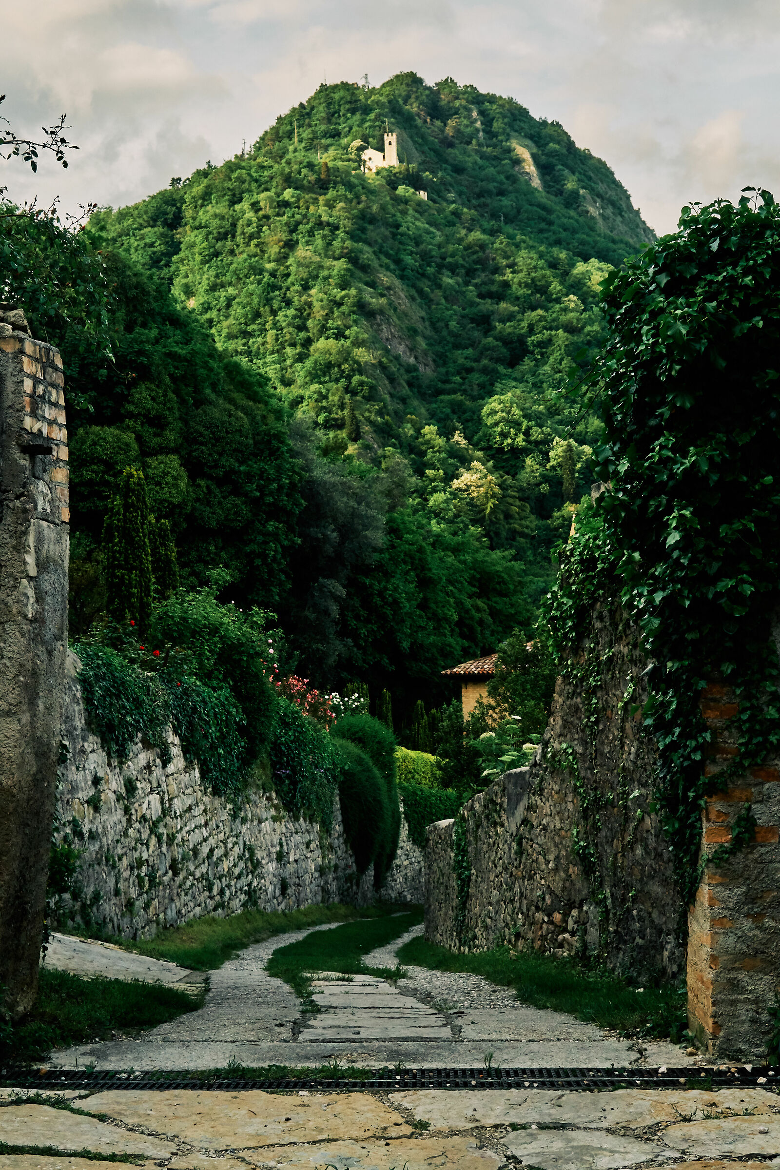 Door on the Mountain