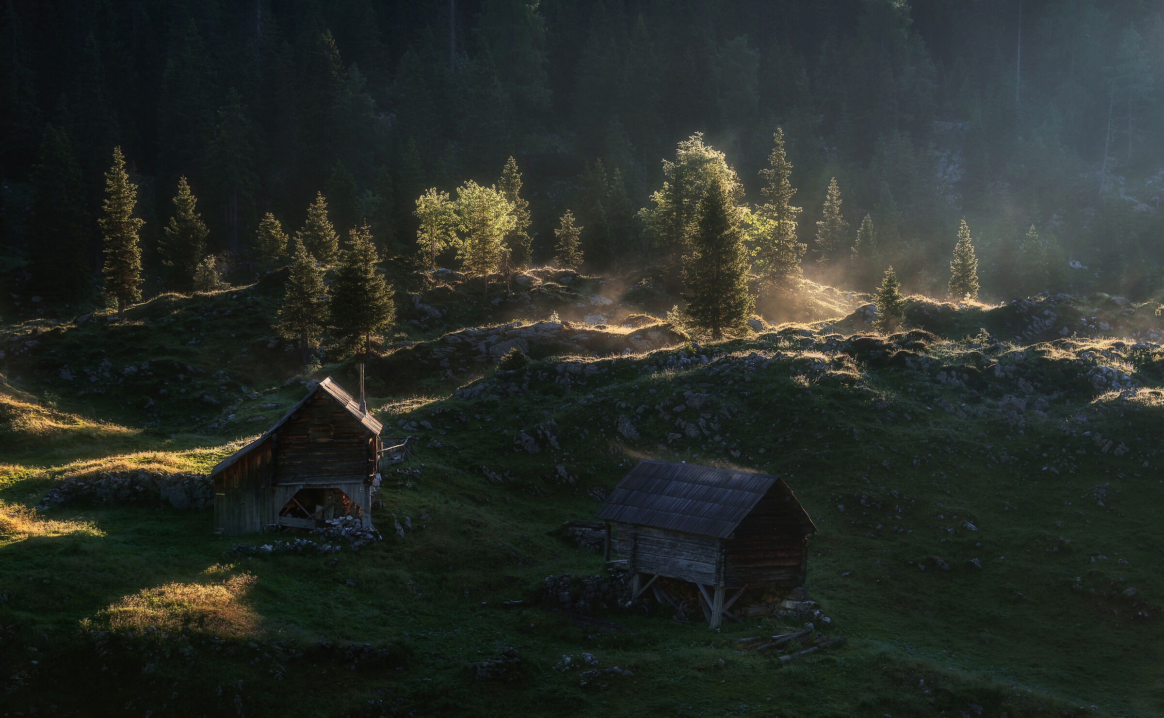 Morning on the pastures