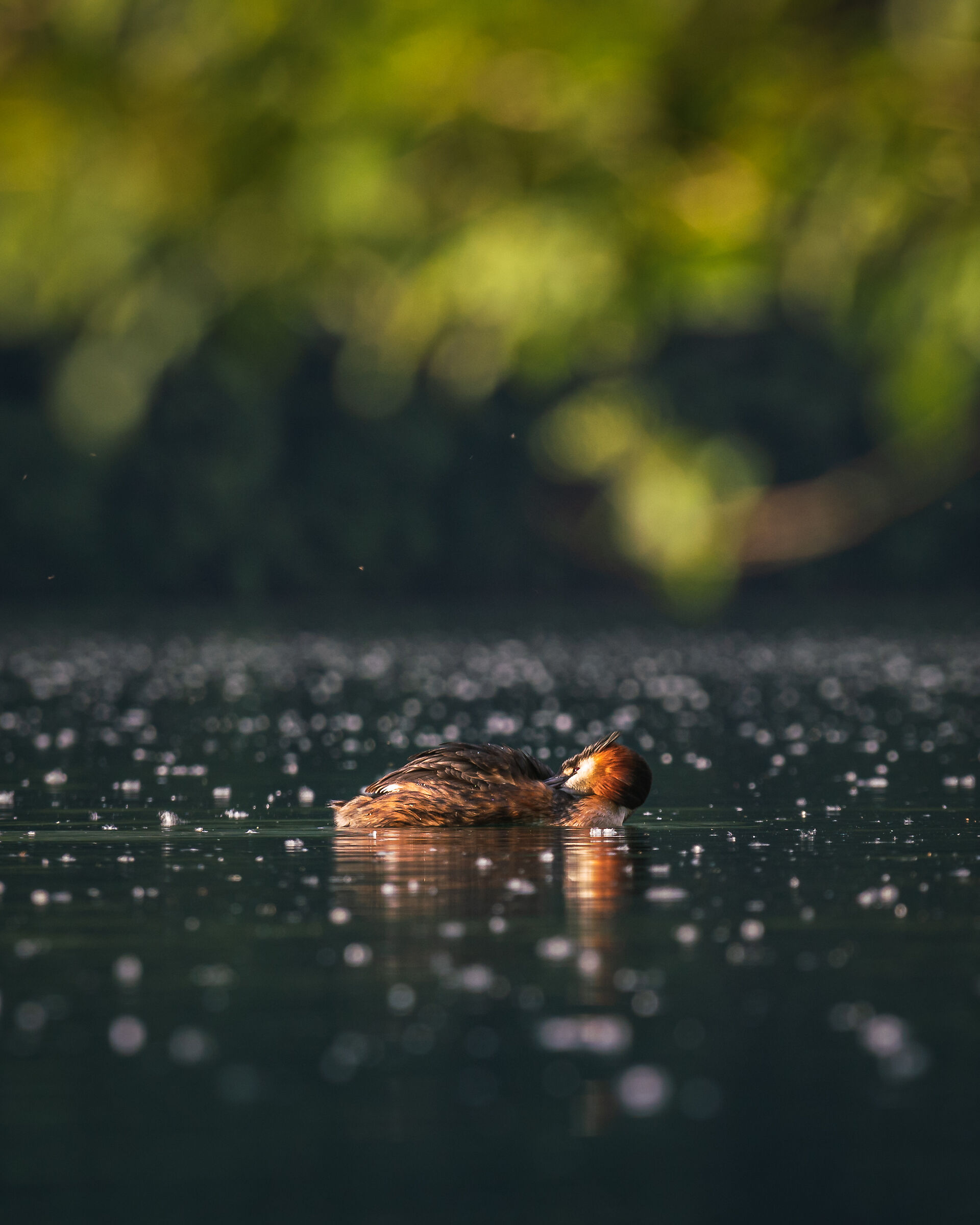 Spring on lake Piano
