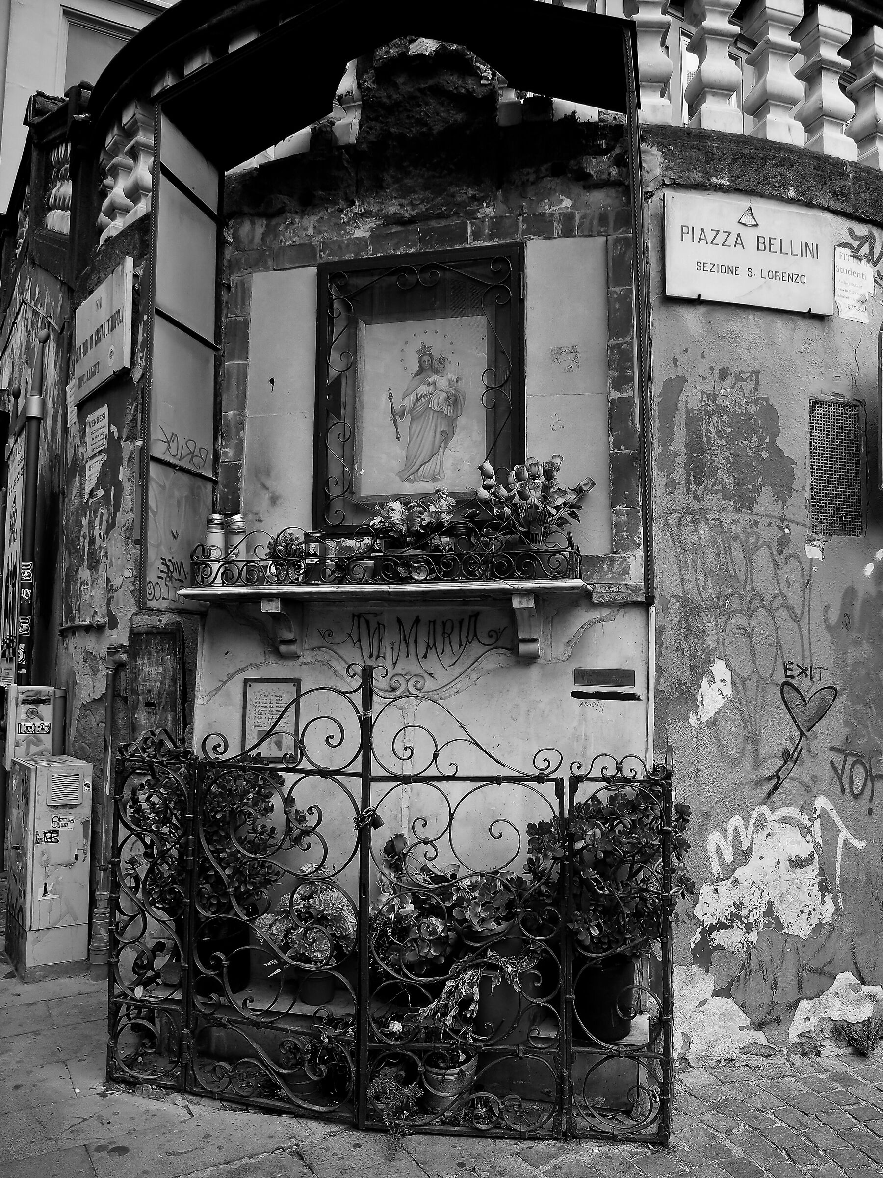 Vocation Piazza Bellini