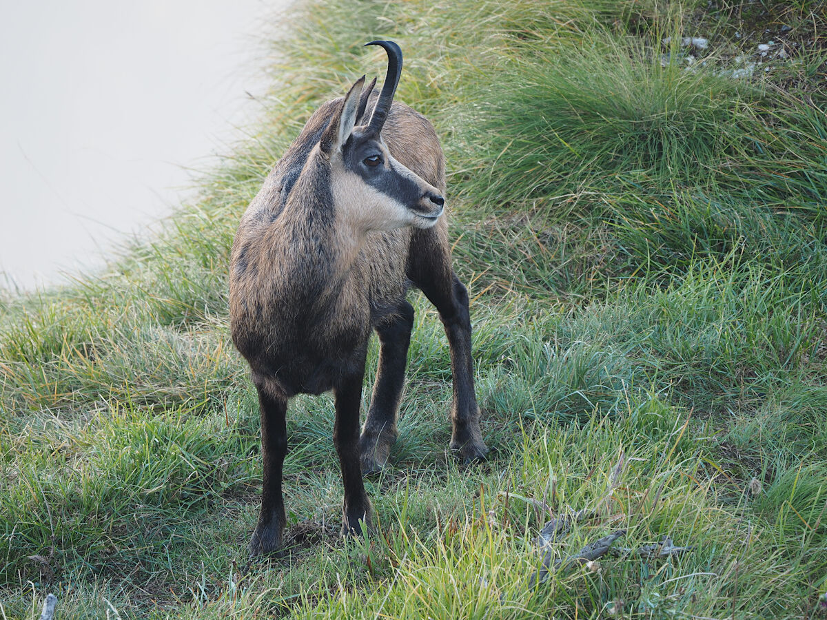 Tranquillo sull'orlo del precipizio