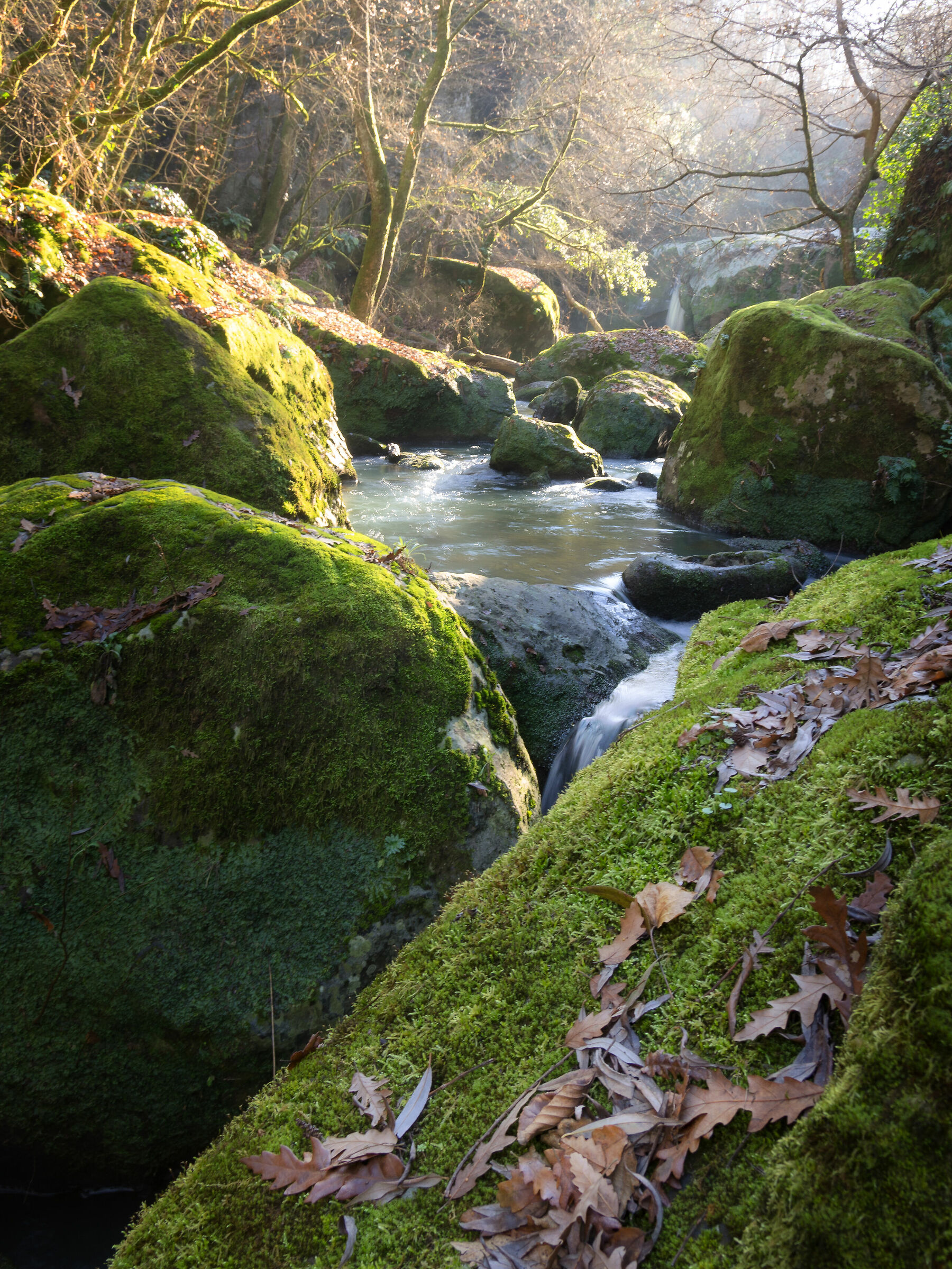 Una mattina d'autunno