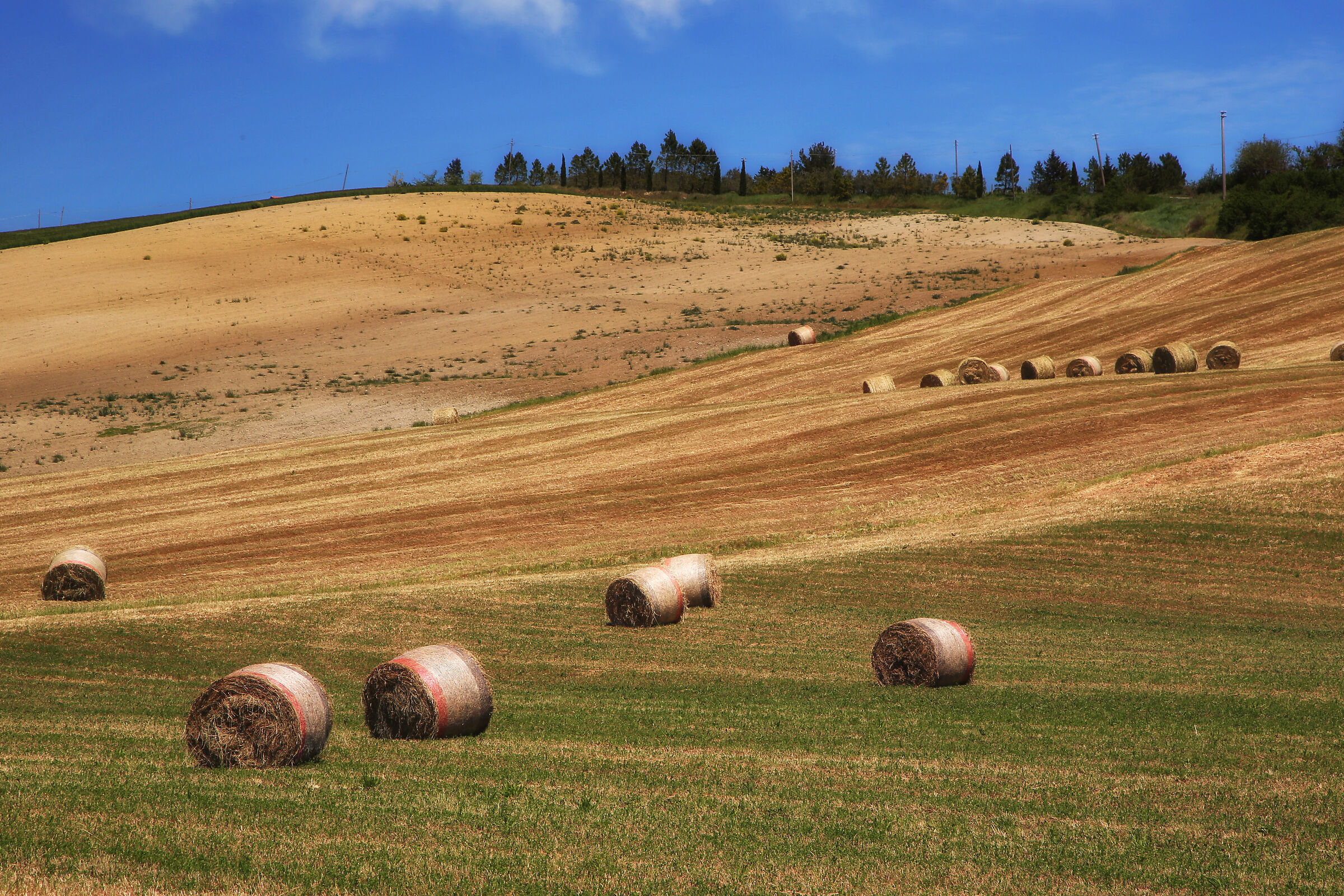 Campagna toscana