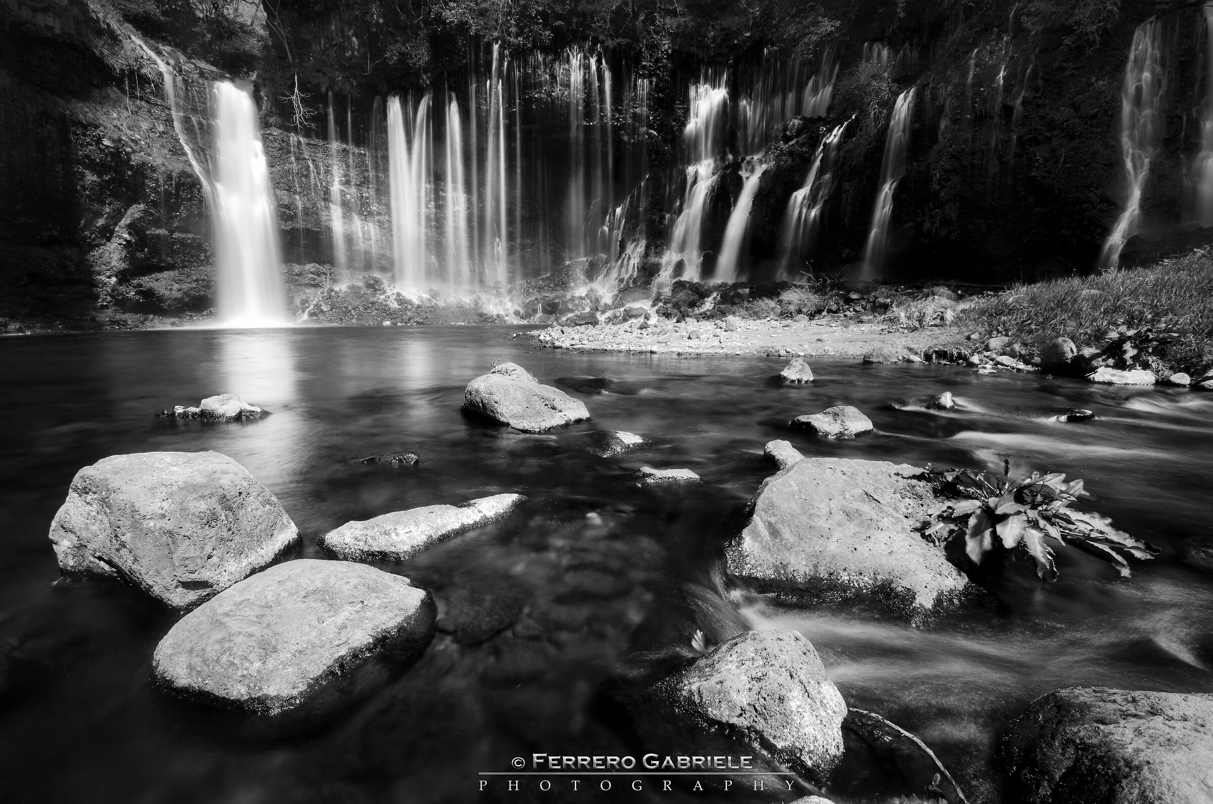 Shiraito Black and White