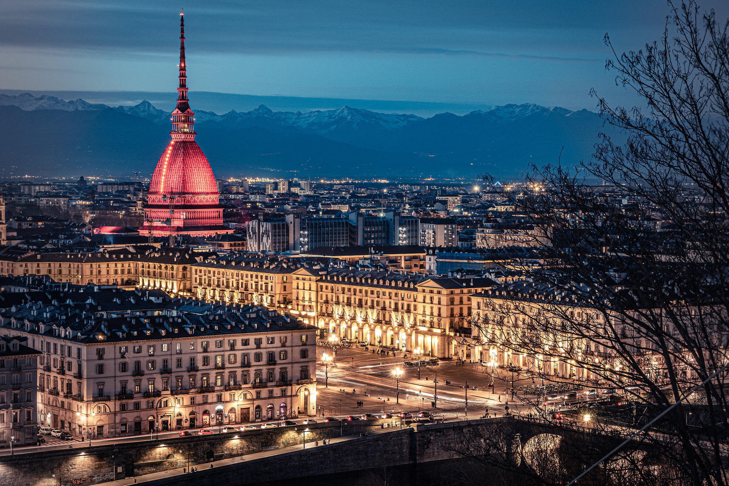 The night of the Mole