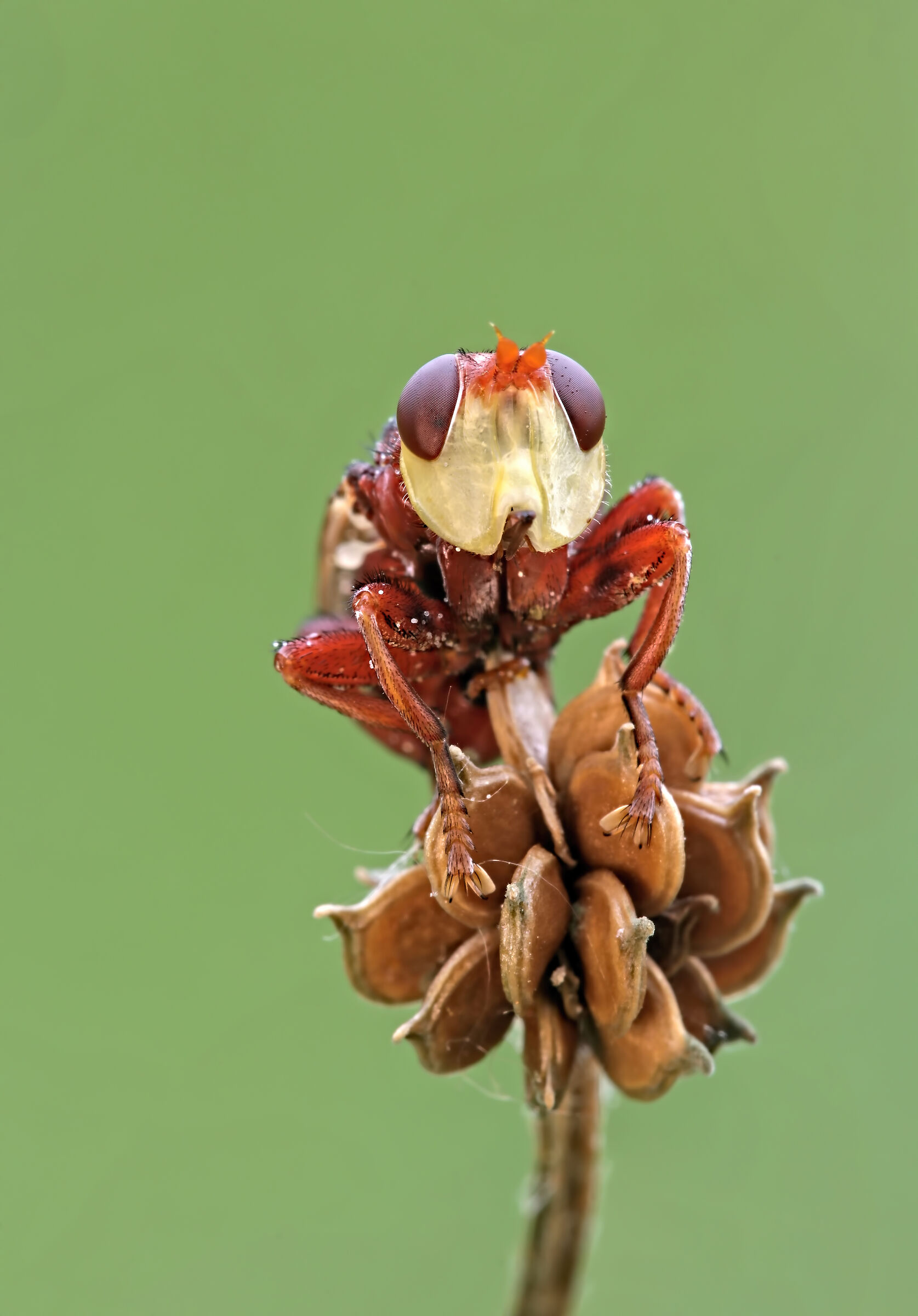 .... I'M WATCHING YOU.....!!!!