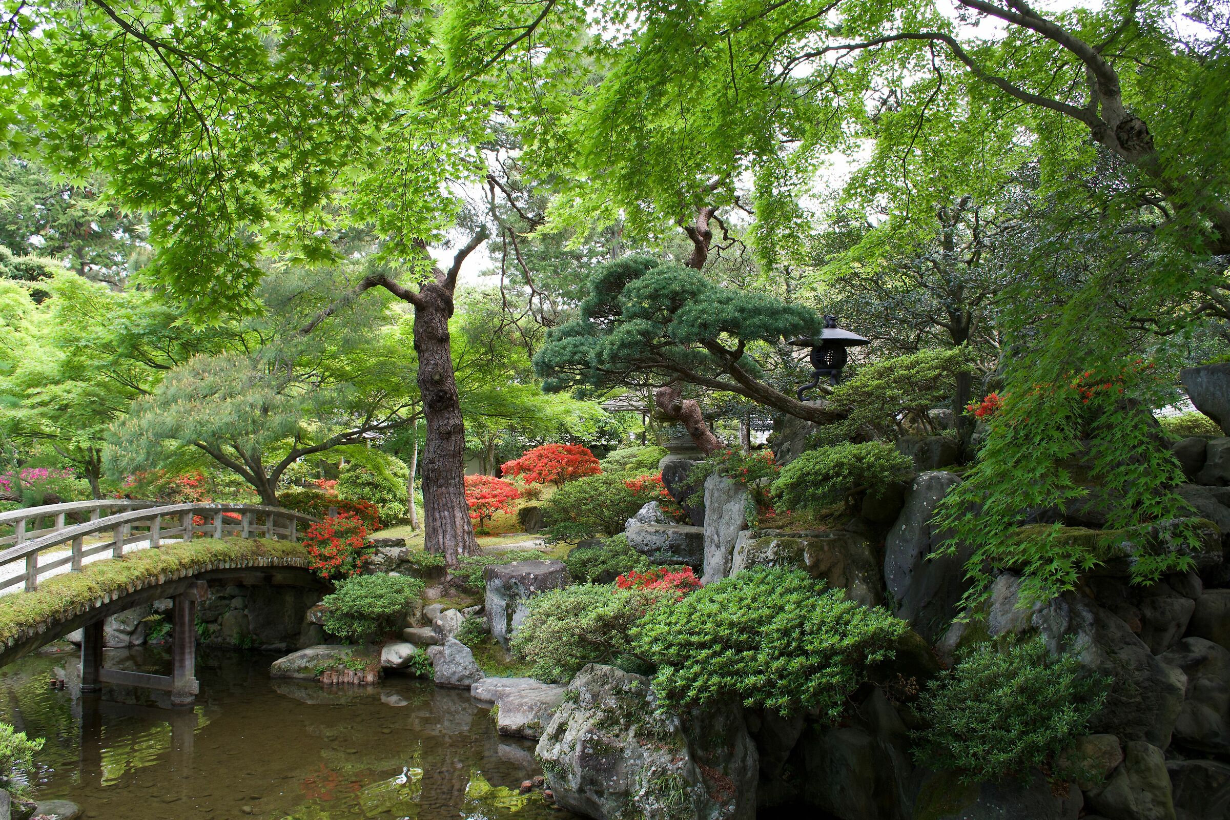 Giardino nel Palazzo Imperiale