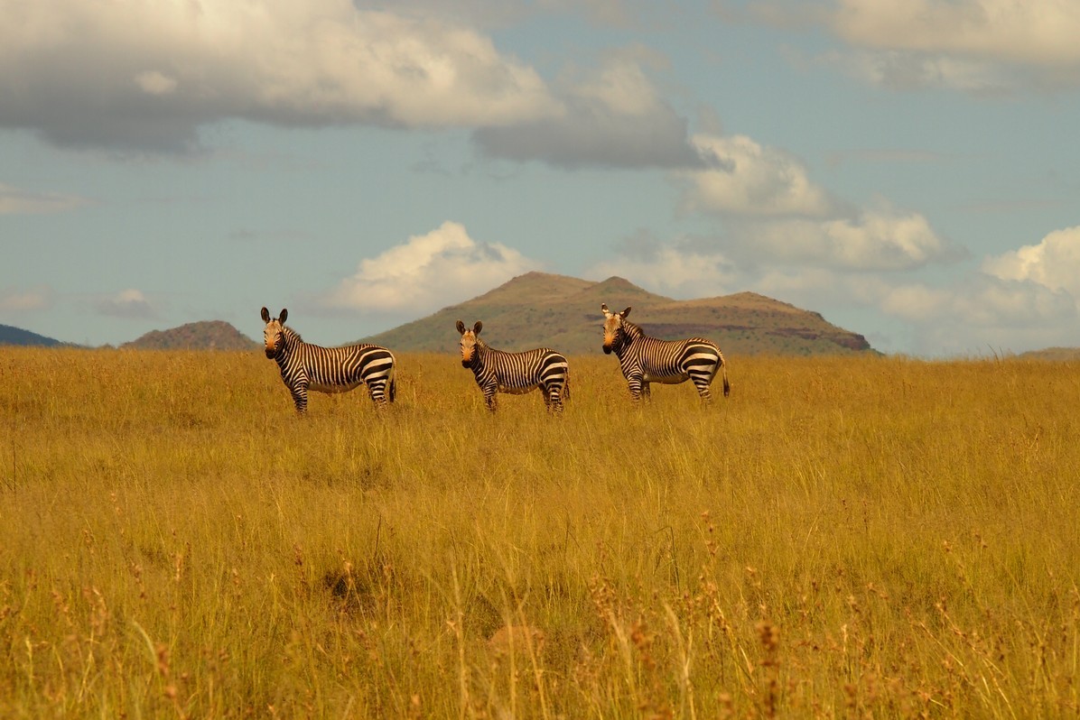 E'arrivata la primavera