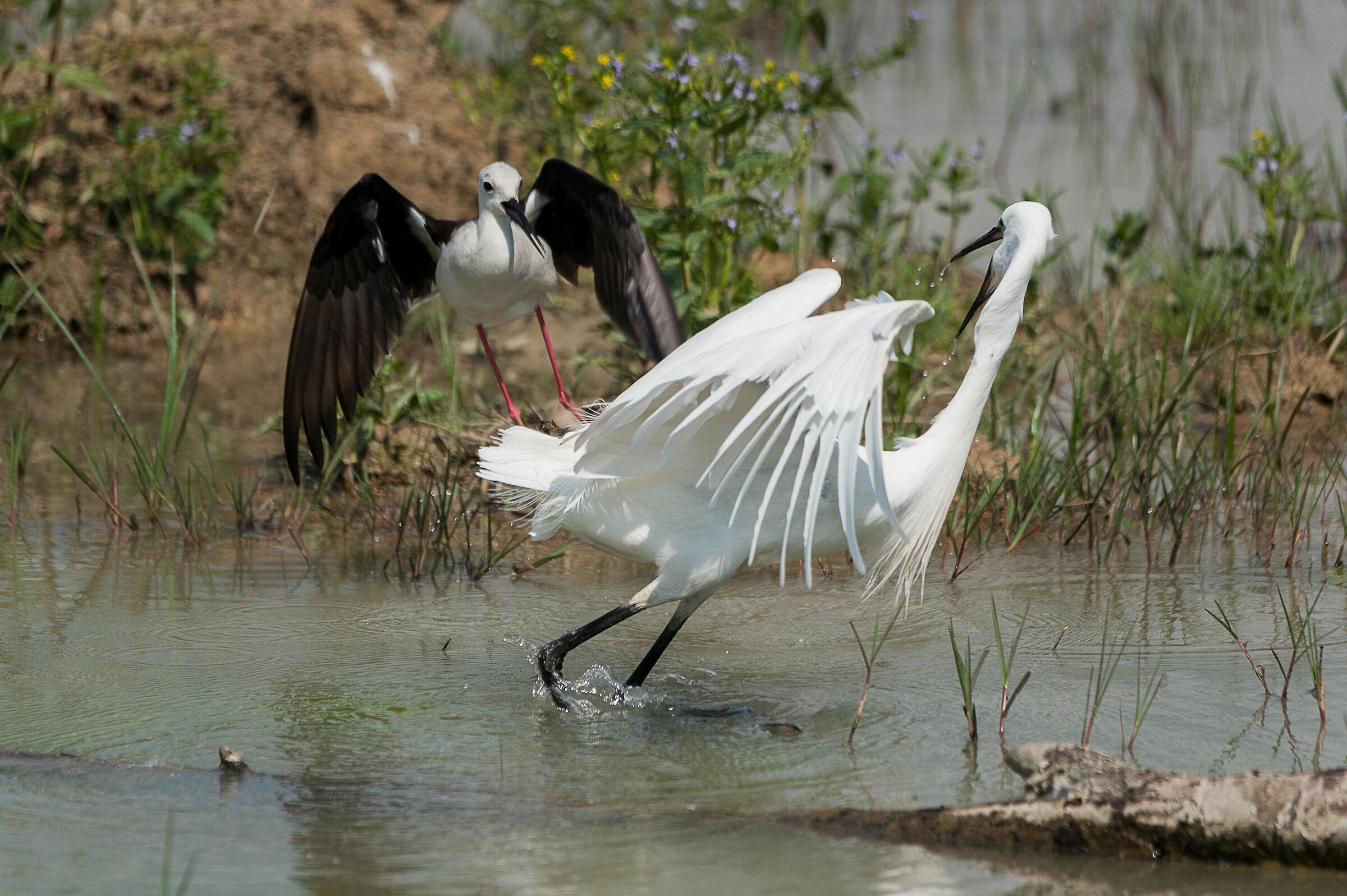 Riunione di Condominio
