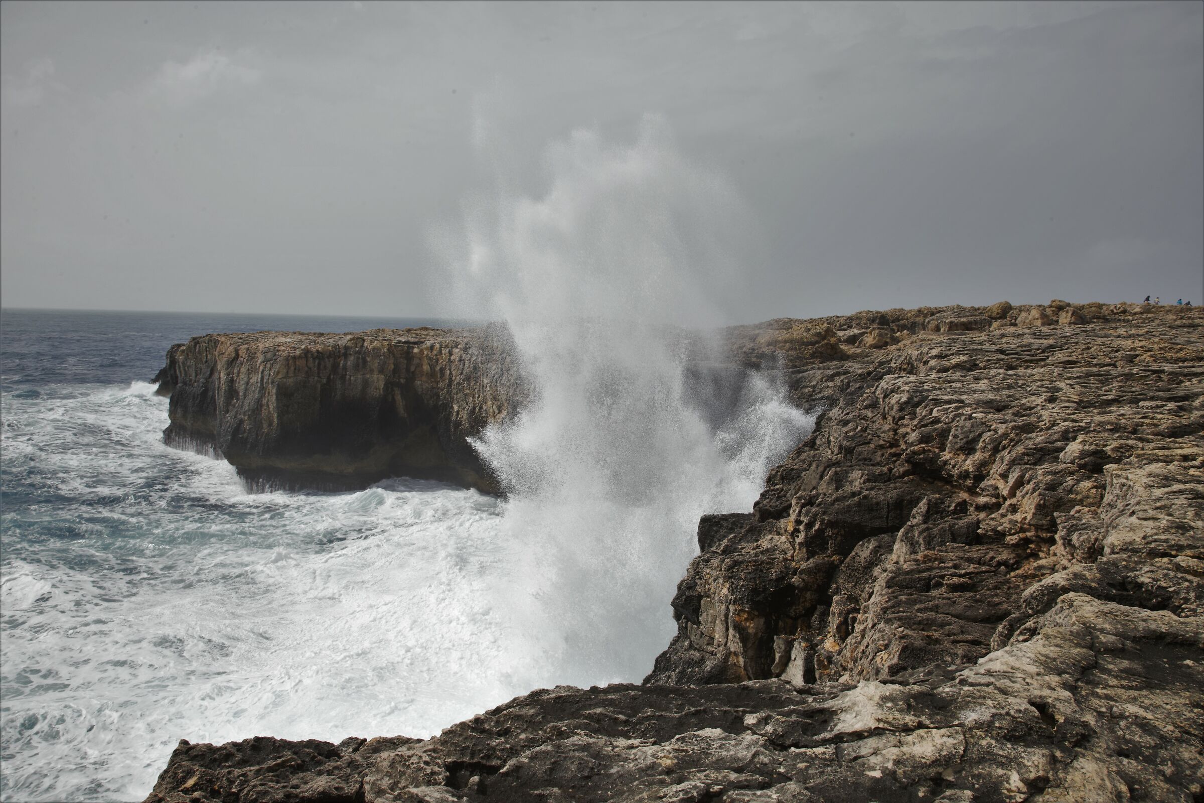 parco del plemmirio (sr)