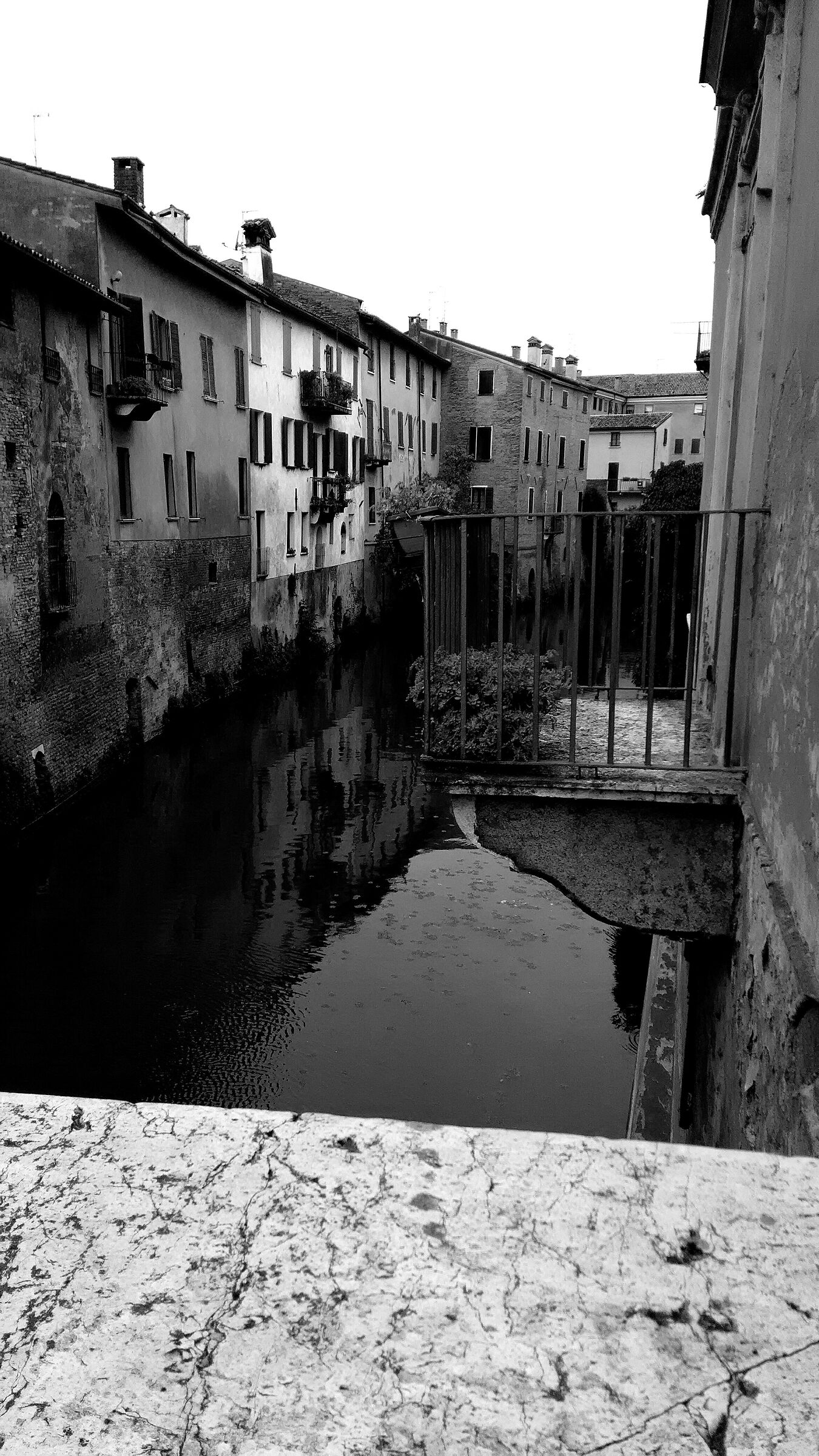 Landscape. Black and white.