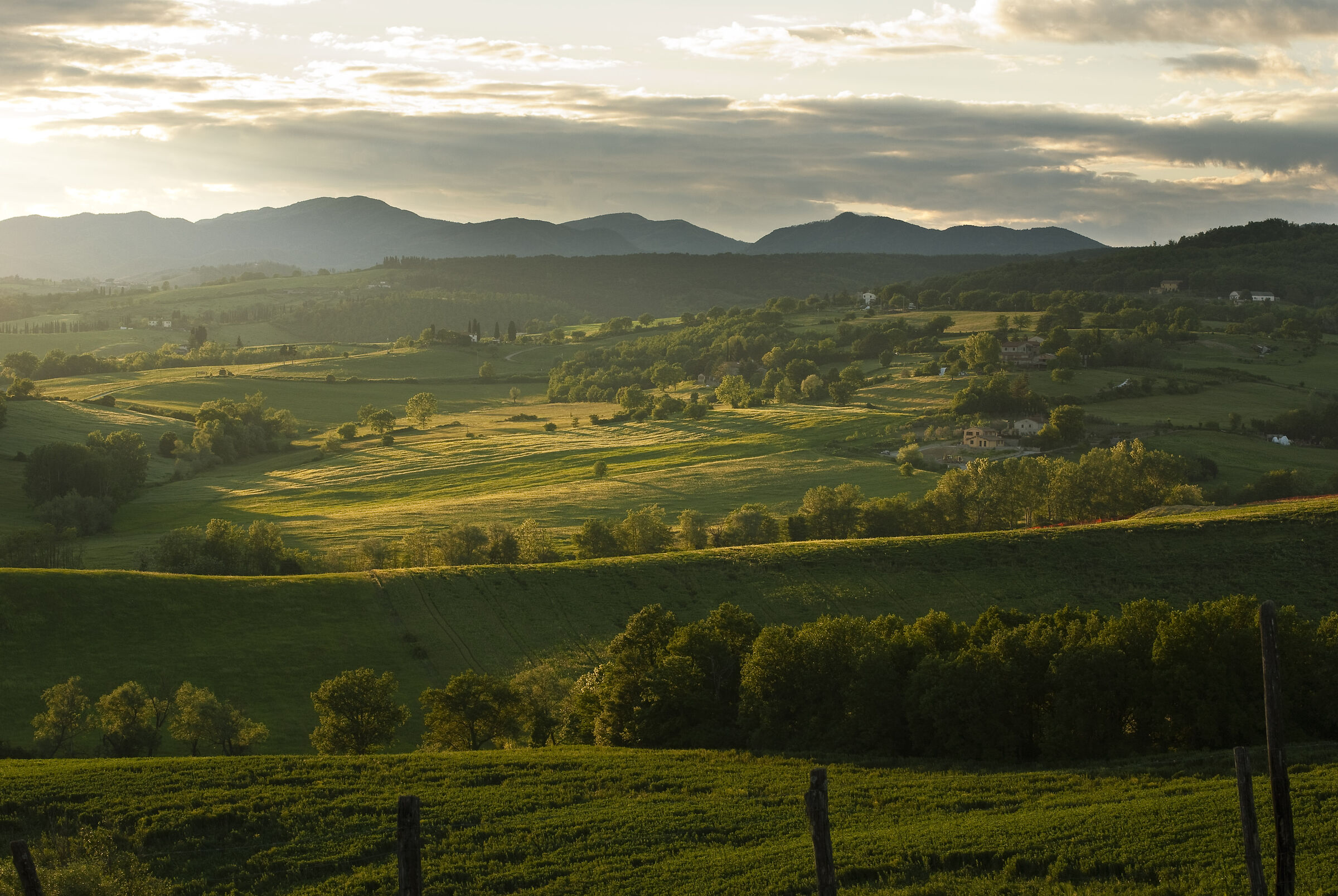 Scarperia, countryside