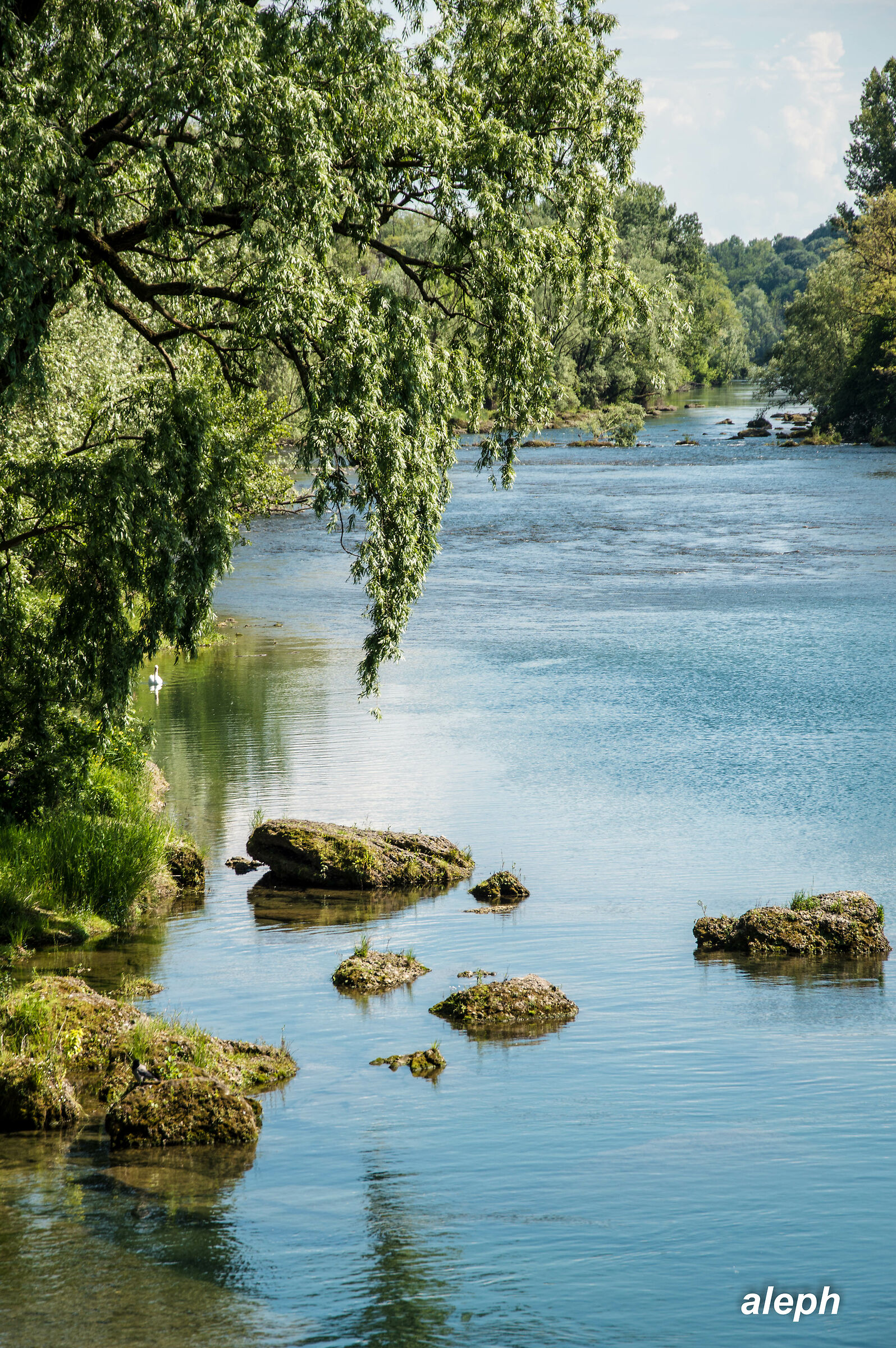 The Adda River, near Crespi d'adda