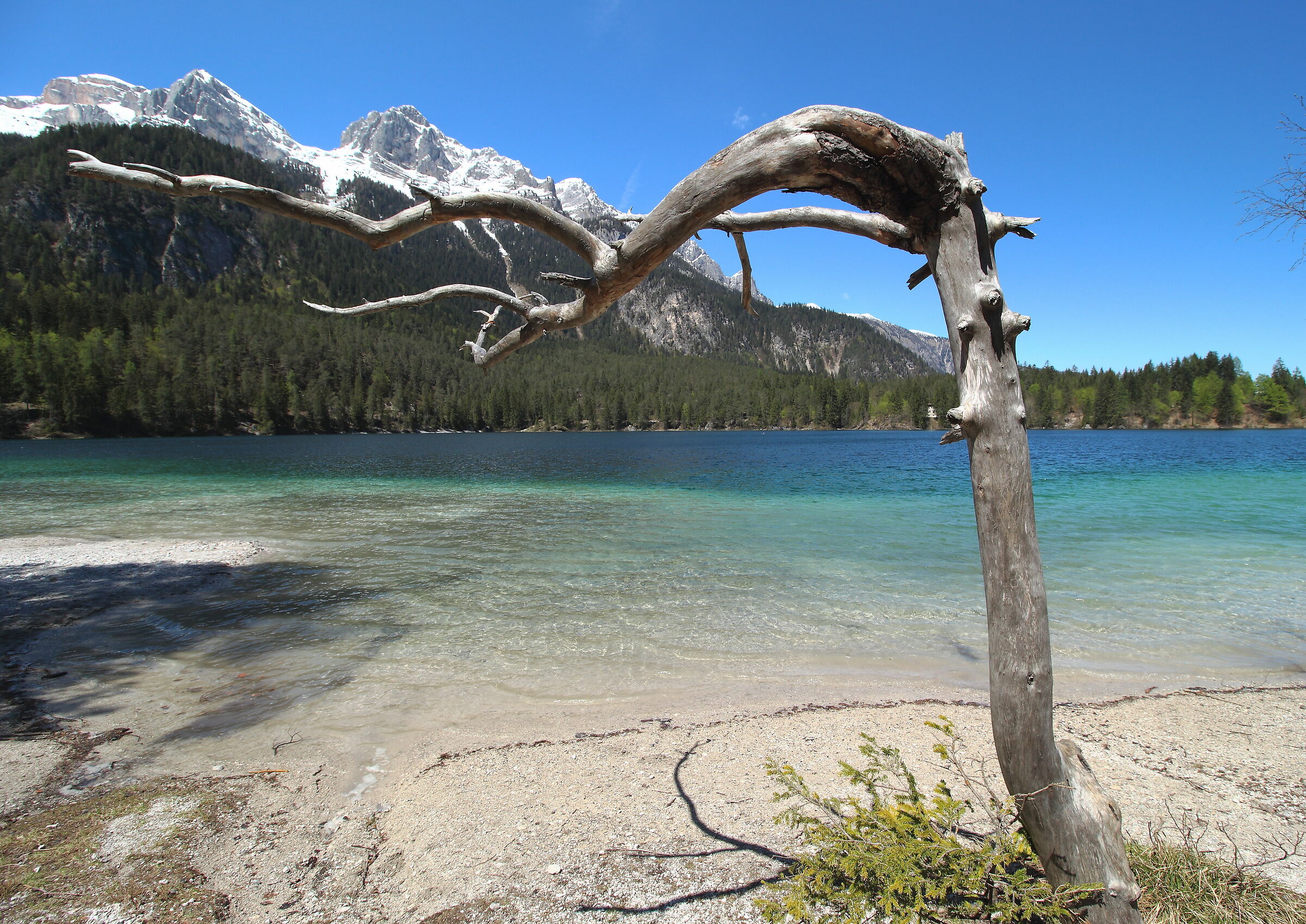 One shot a bit like that