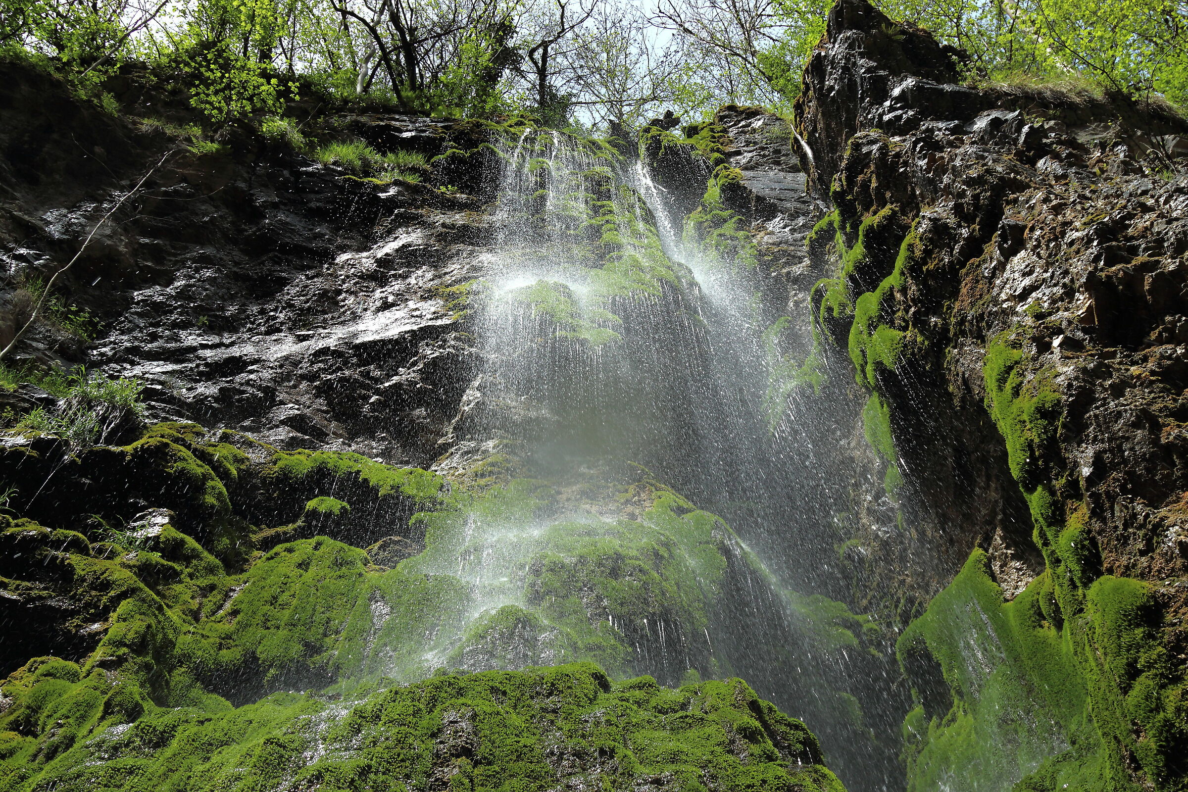 Playing a little with the Times