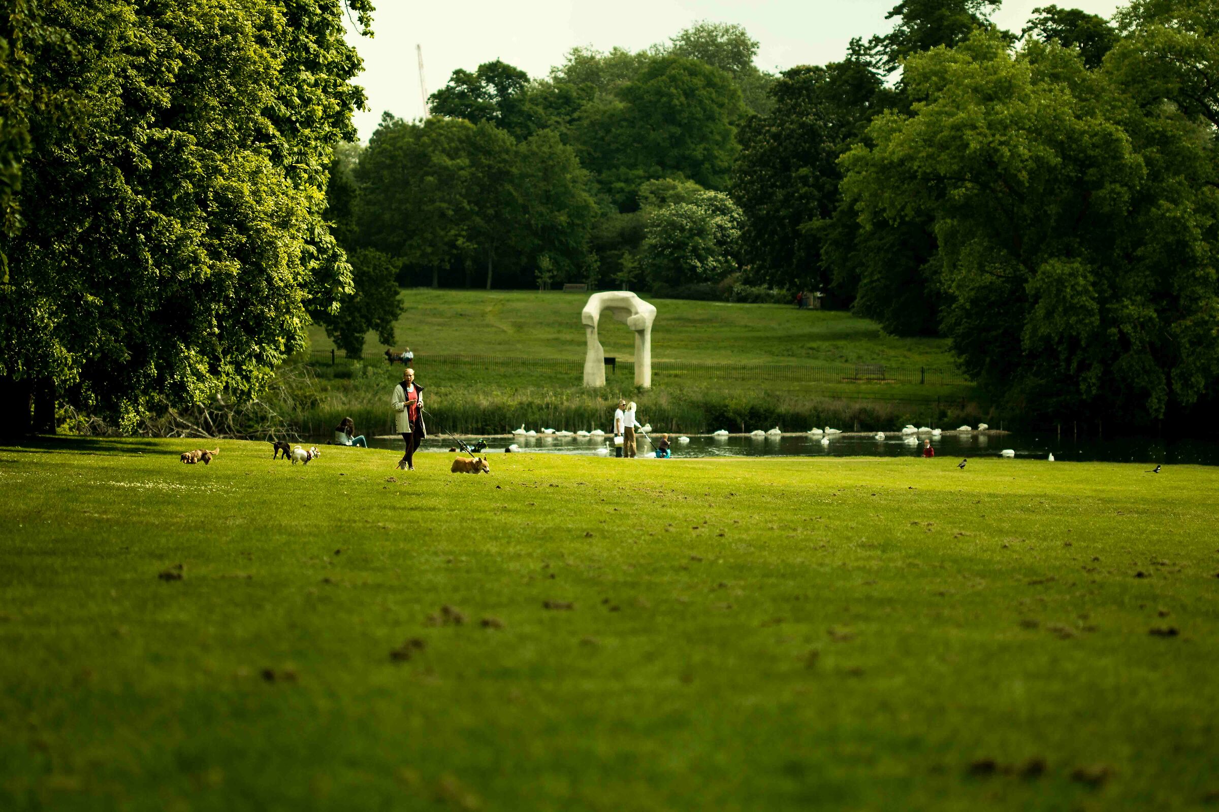 Walking through Hyde Park