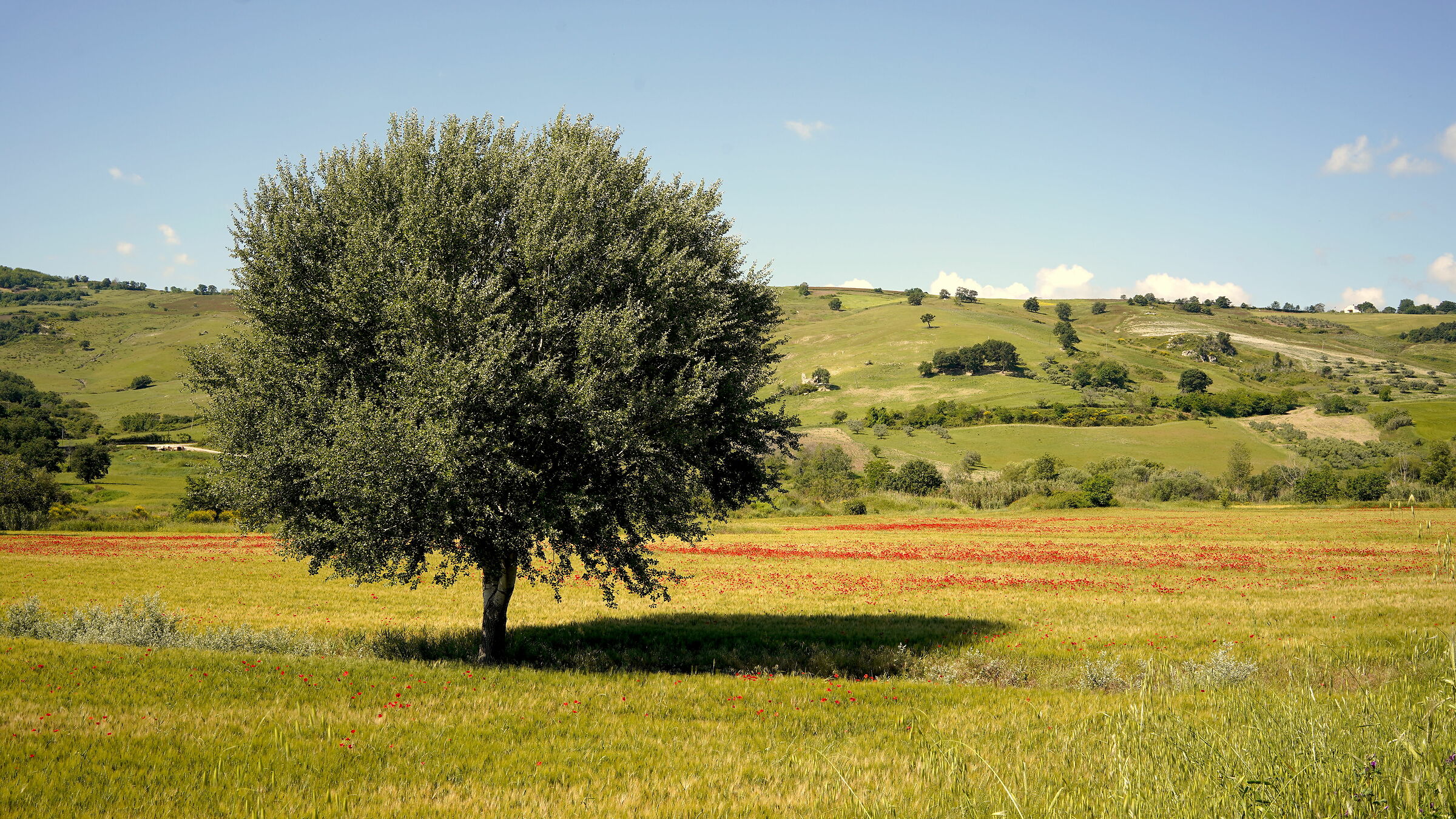 Motographing with friend Nando