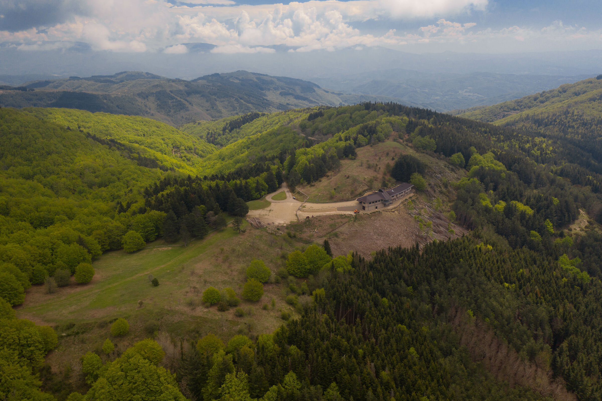 Mountain Ark to the Meadows of them (Arezzo)