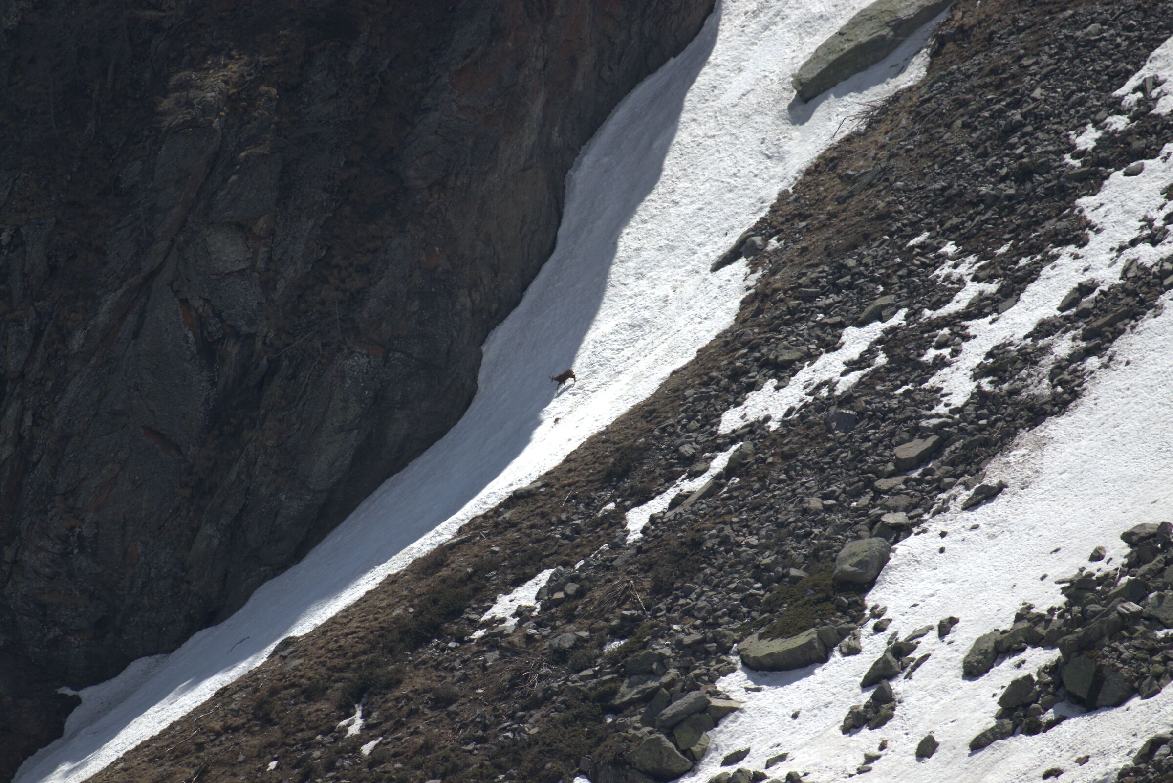 Exilles Chamois-Levi Molinari Refuge