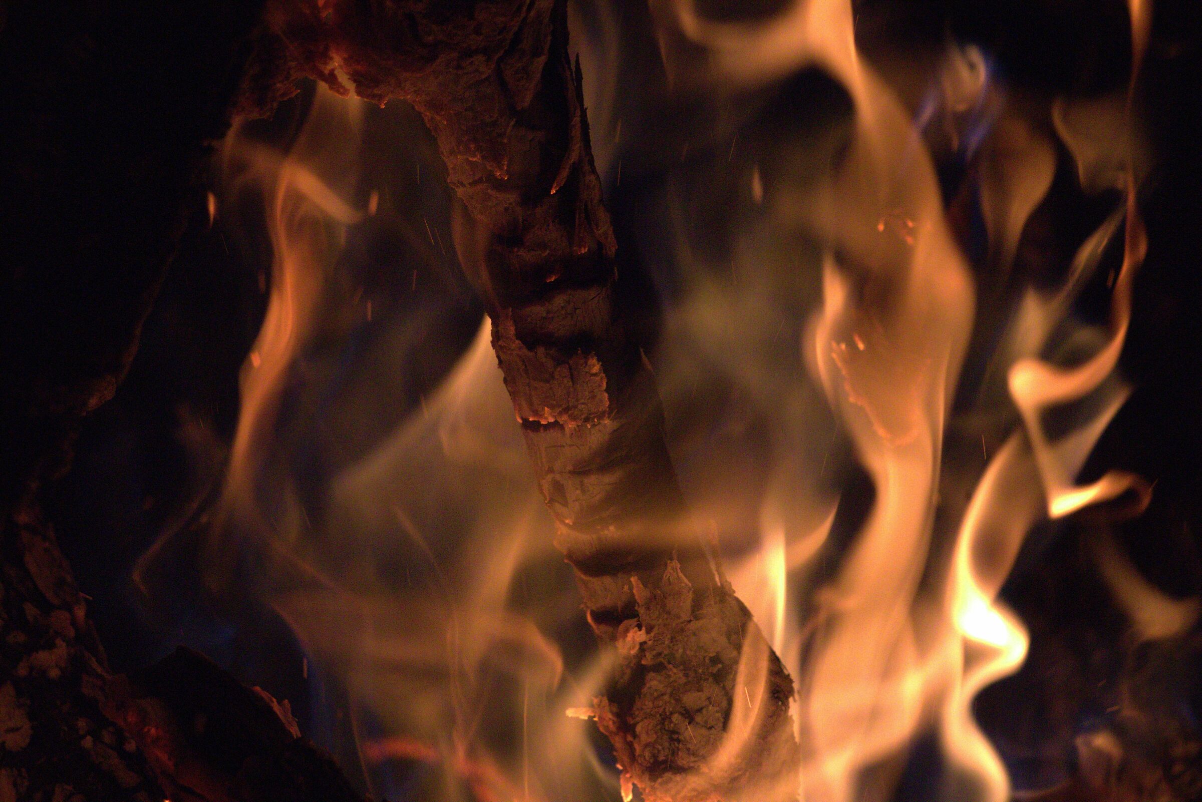 Fire Face-Levi Molinari Refuge