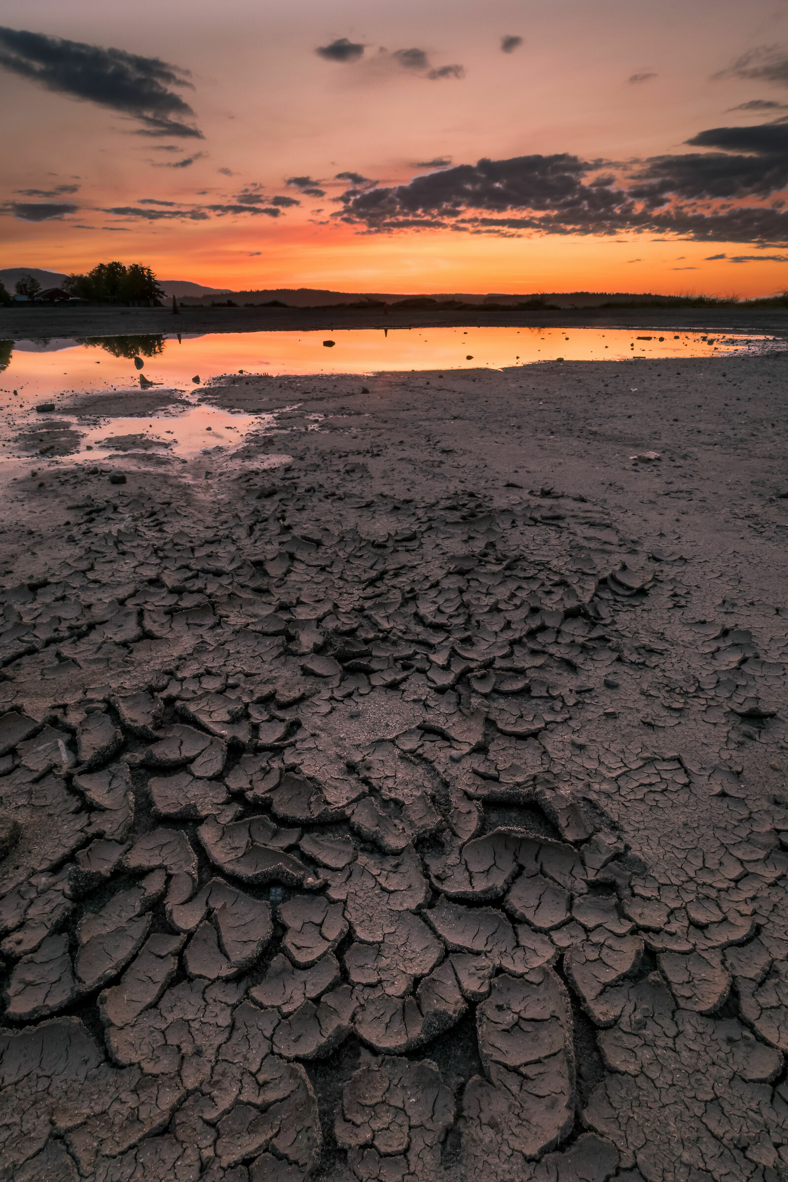 Port Gamble Mudcracks