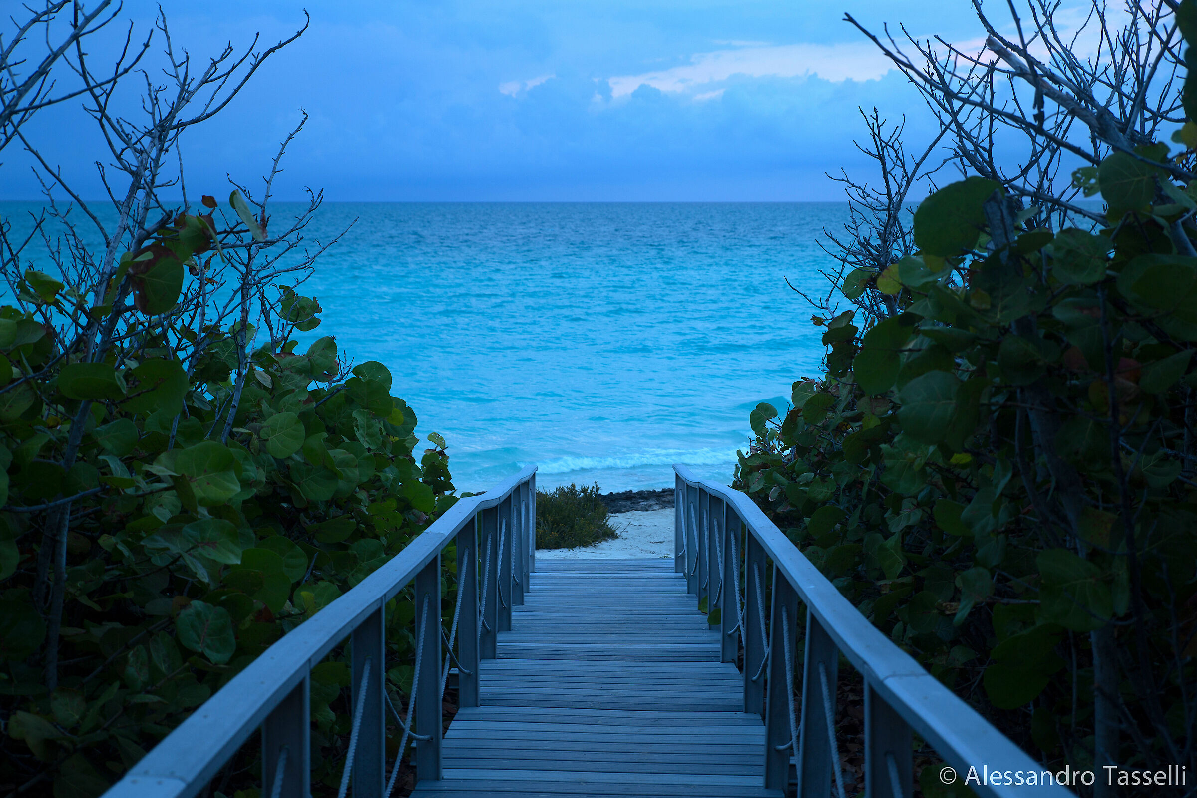 Sul viale(tto) del tramonto...