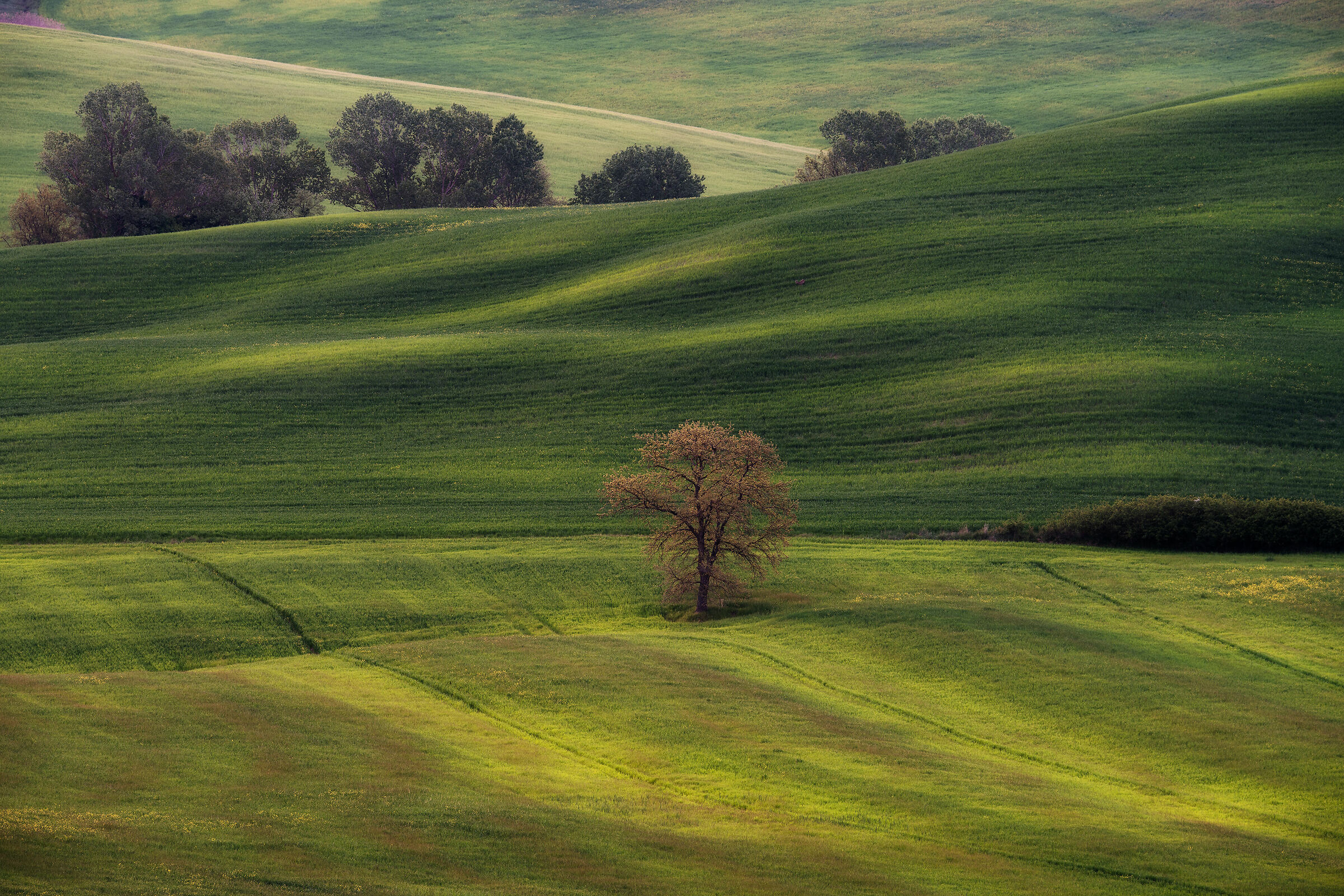 Val d'Orcia