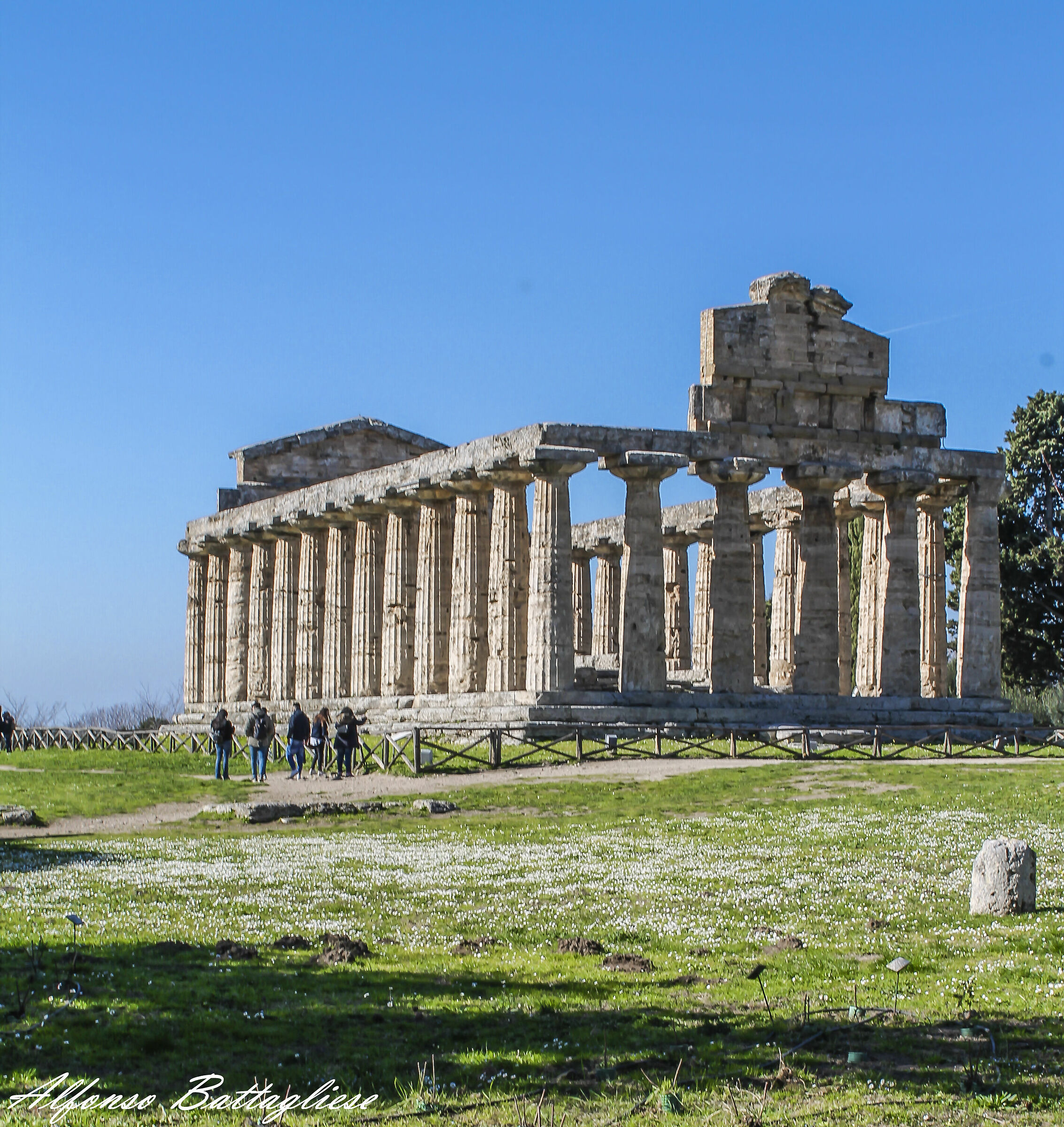 Magna Grecia 2  Paestum