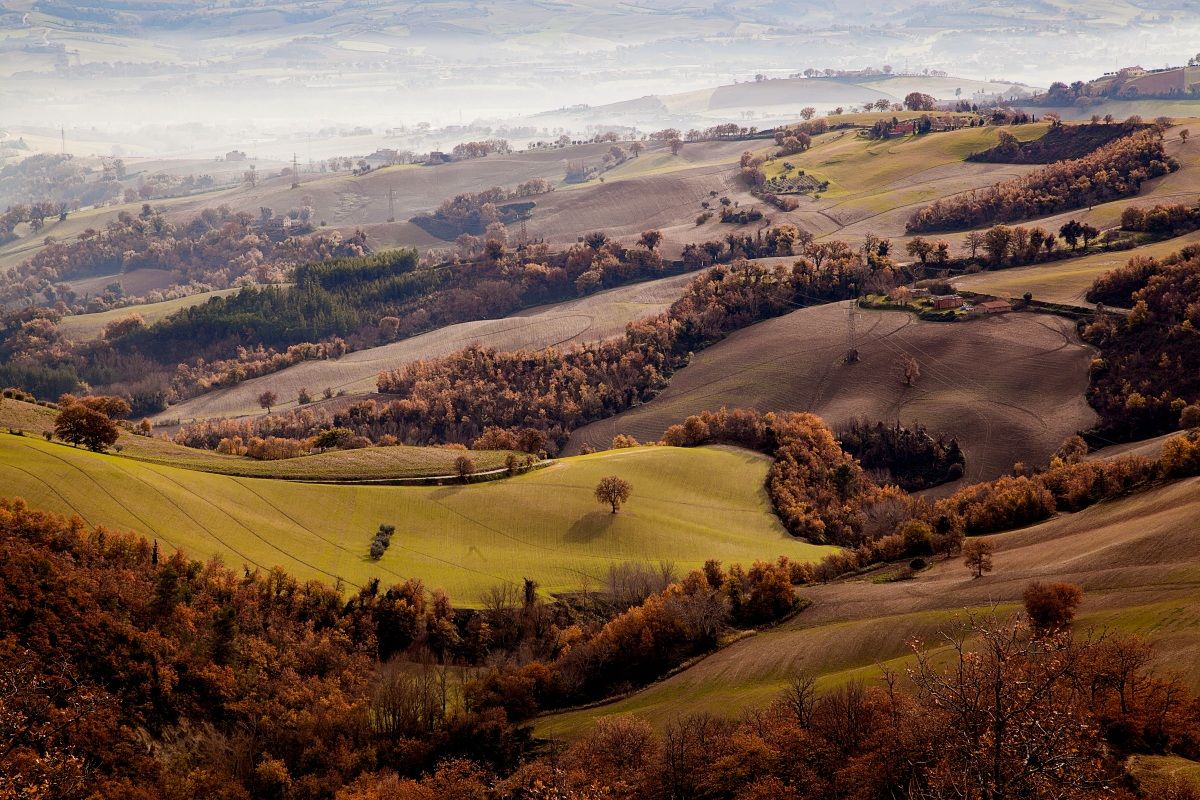 Campagna Marchigiana