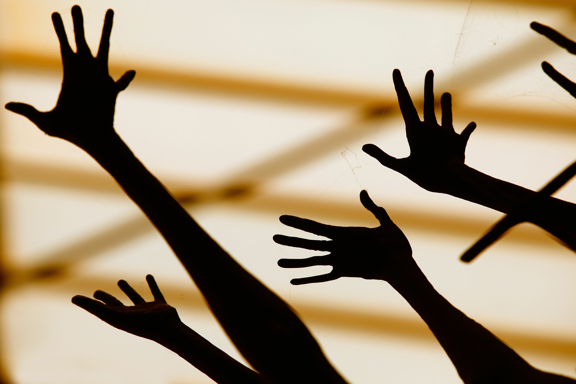 Desperation, "Risiera di San Sabba", Trieste.