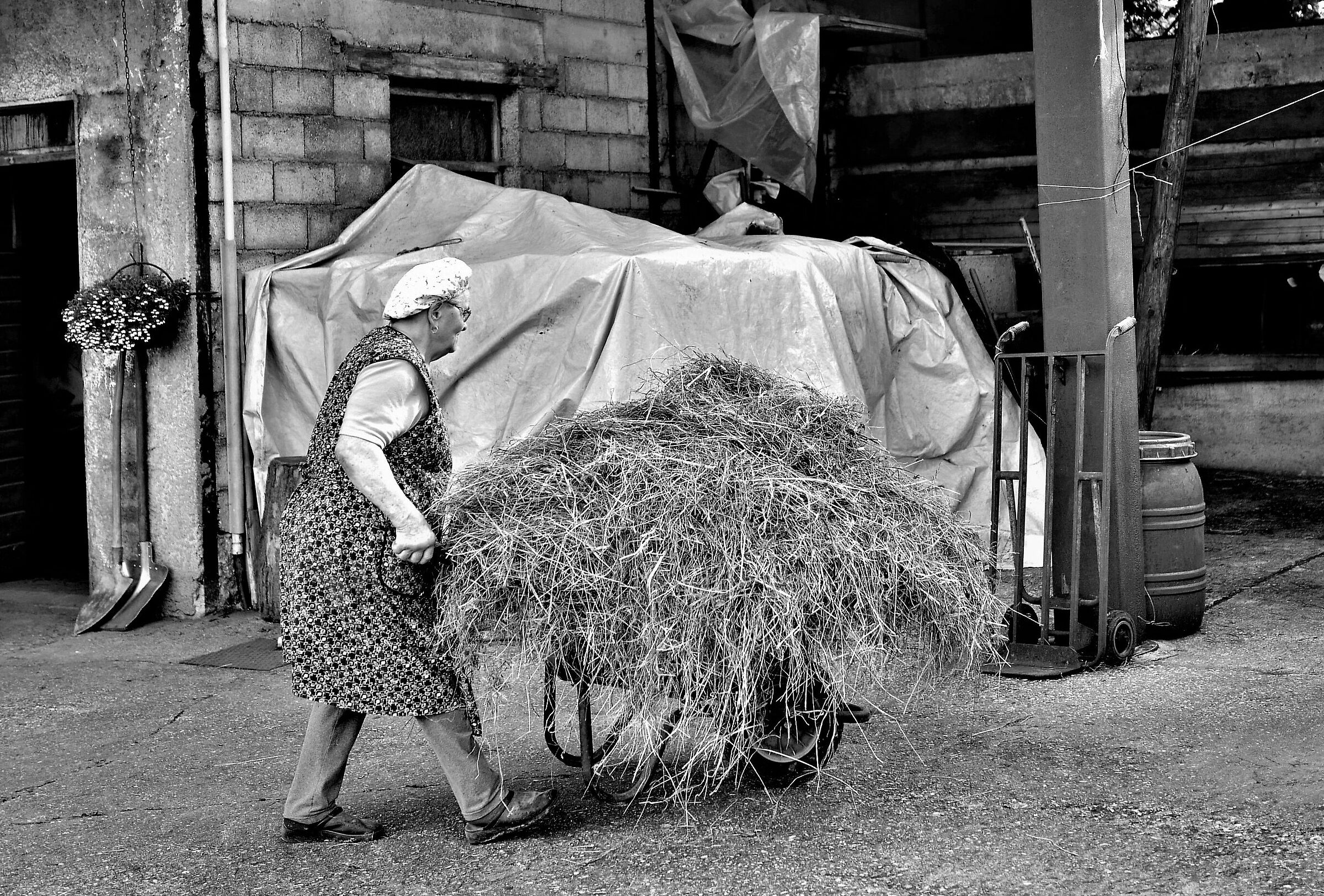 Quota 150 (80 di età, 70 di lavoro)