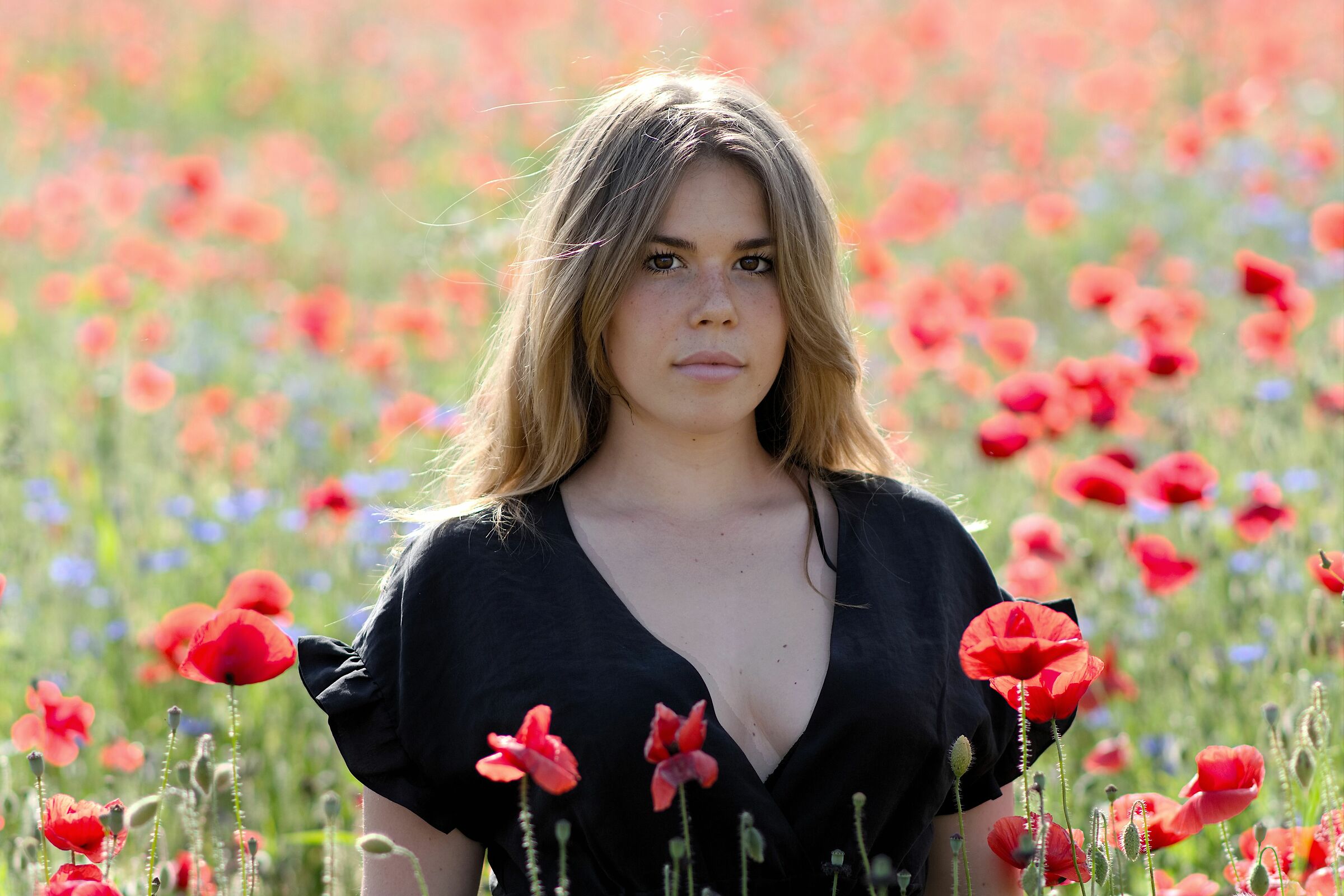 Ludi in the poppies