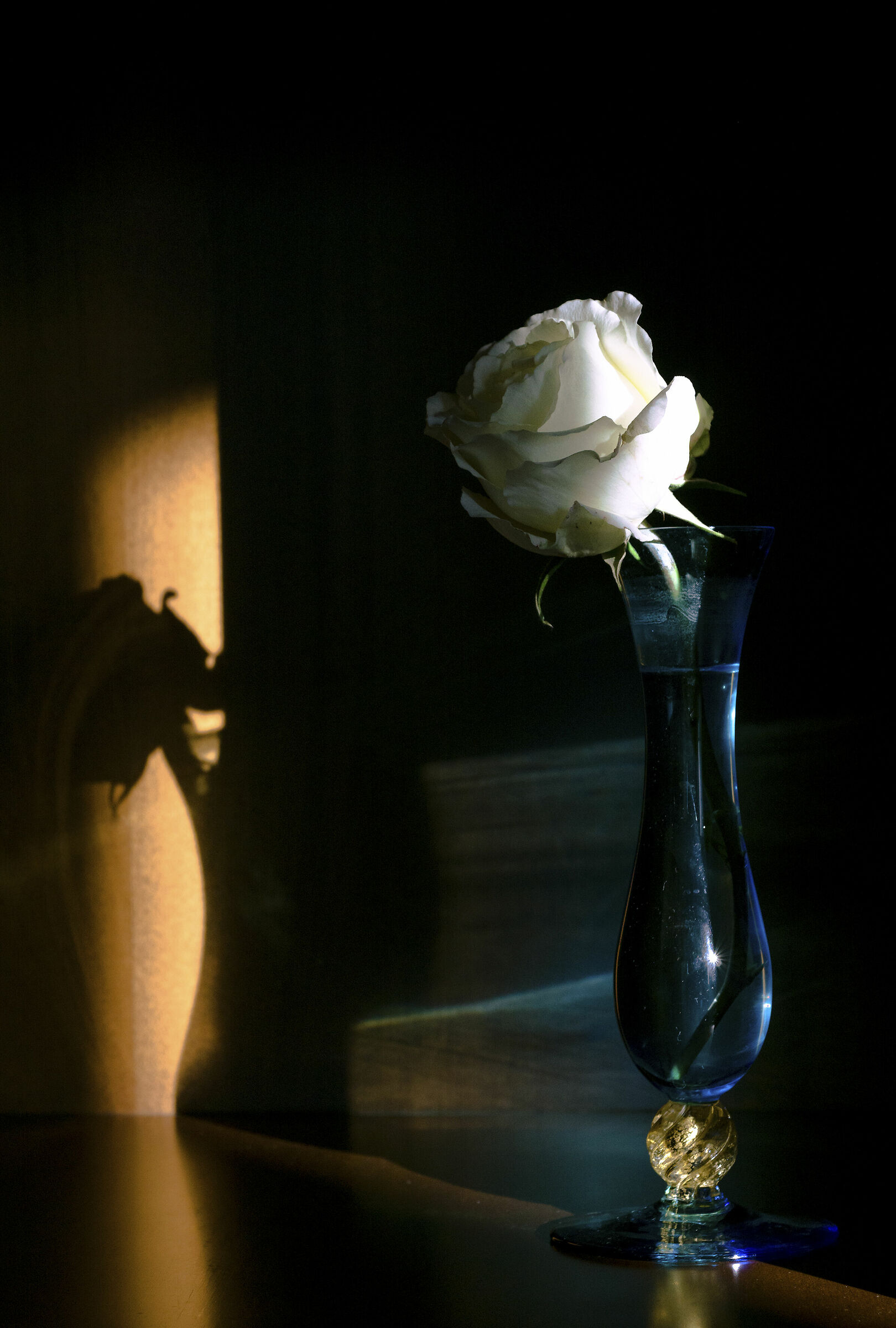 Light at sunset