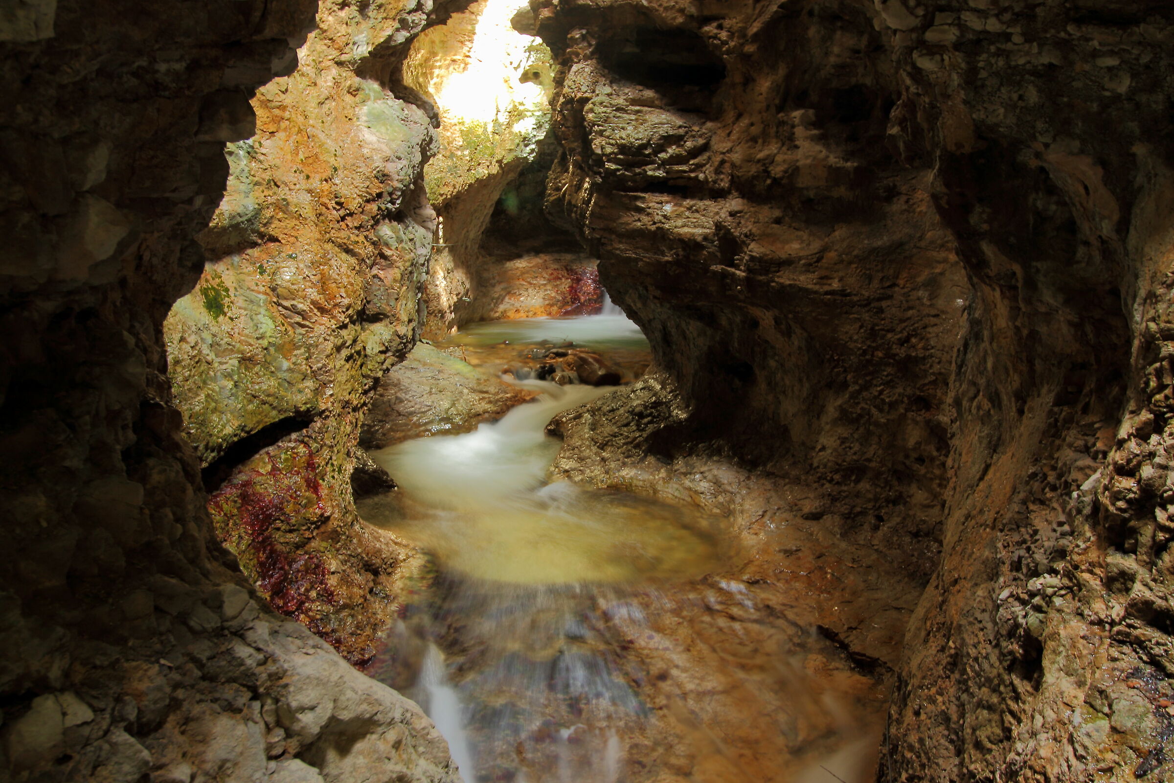 Canyon Rio Sass locality Fondo Trentino Alto Adige