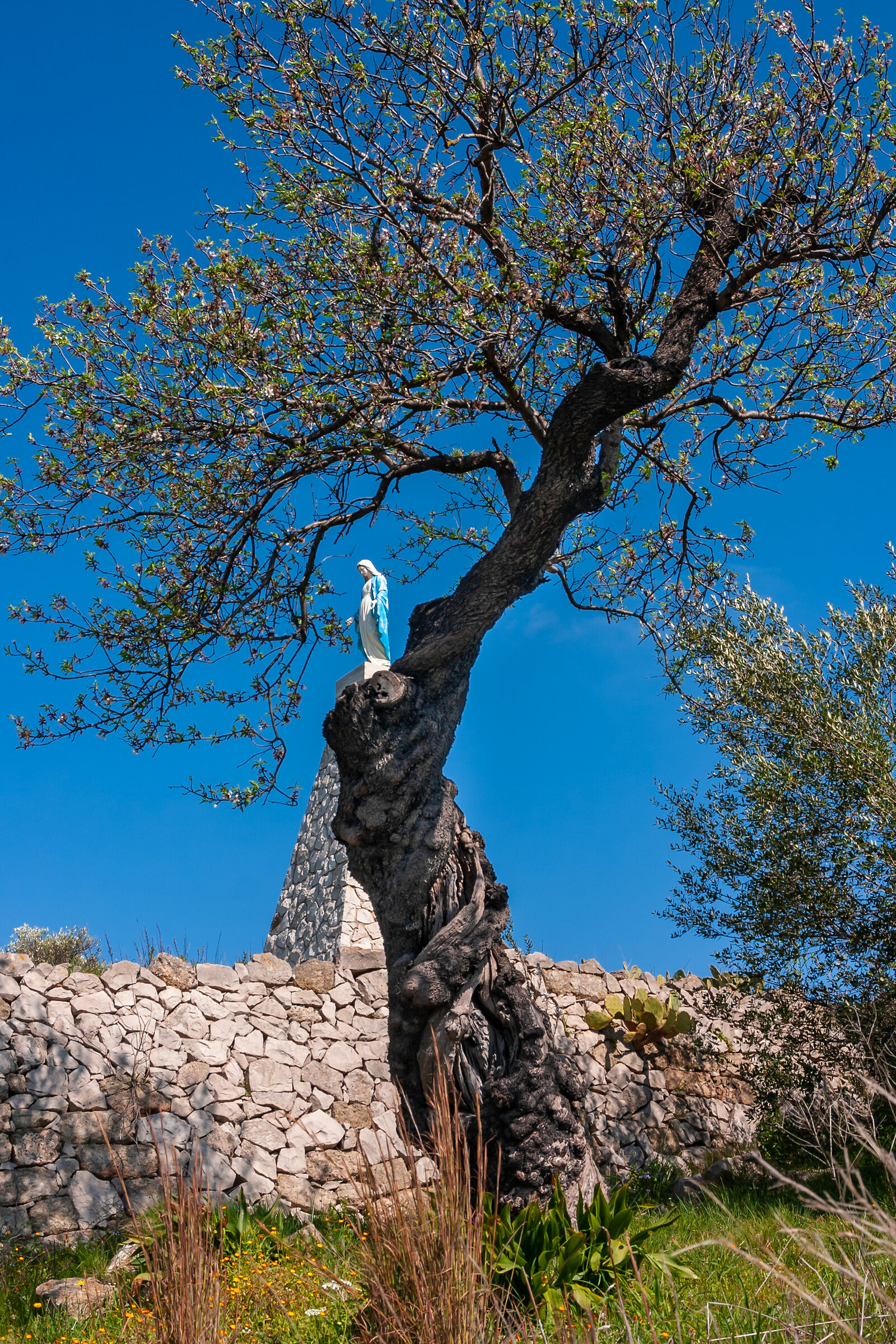 Madonnina miracolosa - Matino - (Lecce)