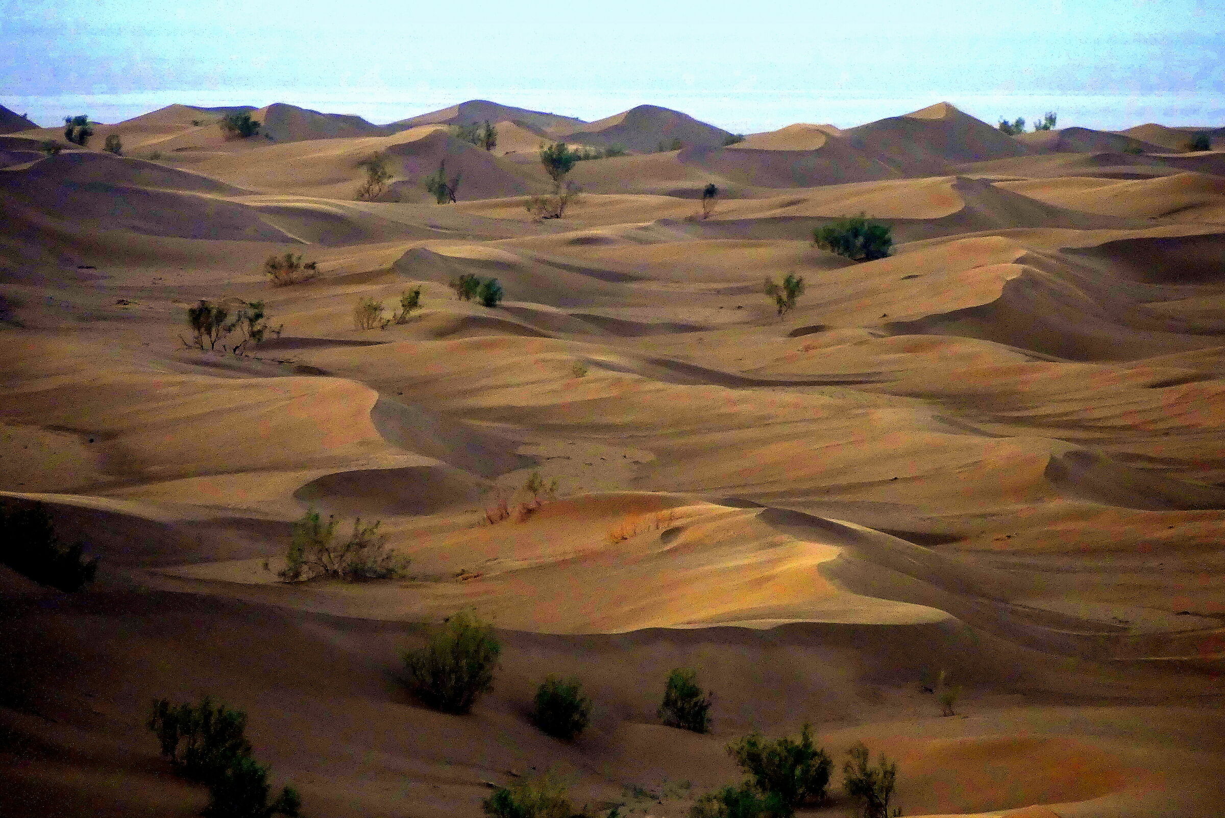 Iran Desert