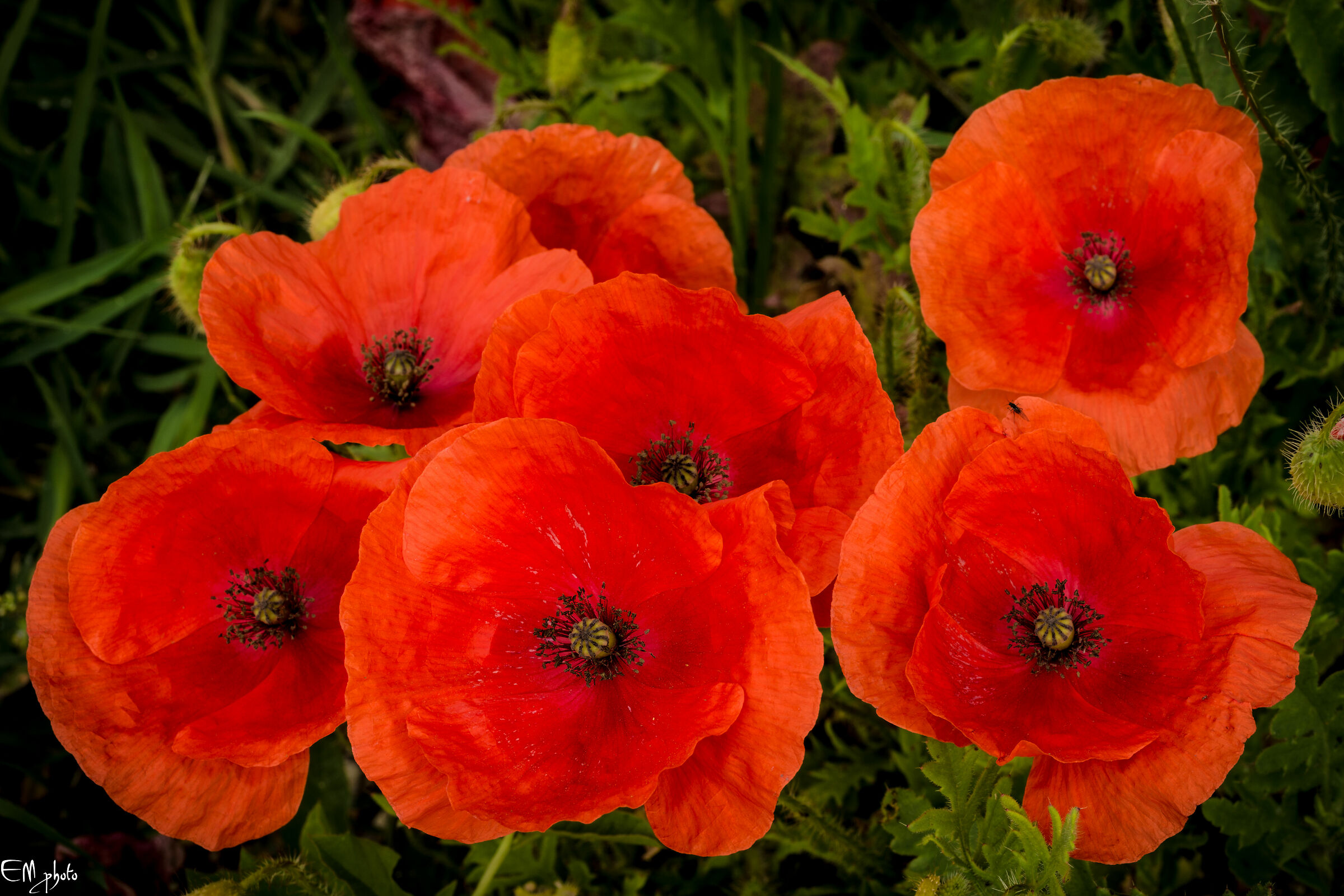 famigliola felice...