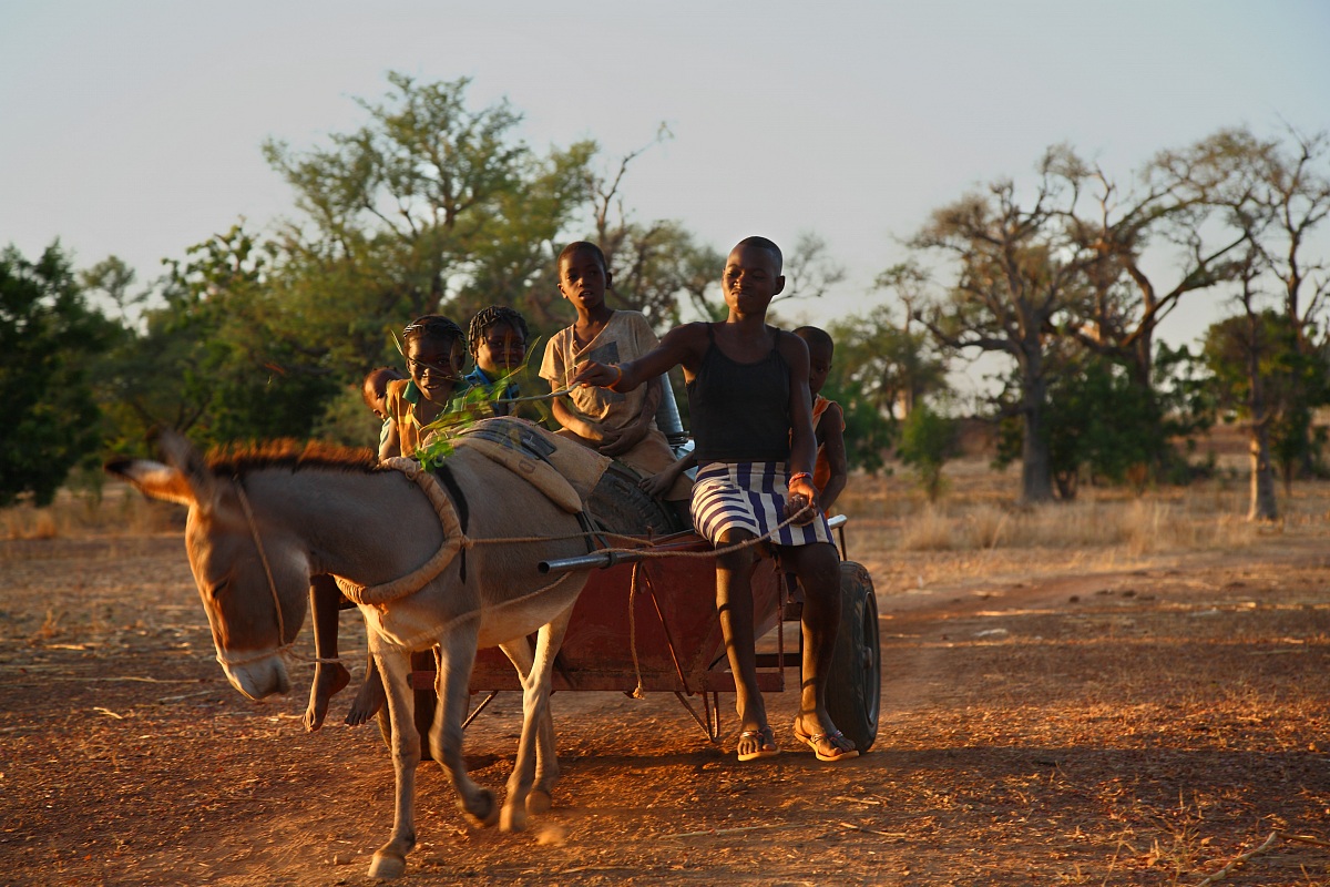 Un ottimo mezzo di trasporto...
