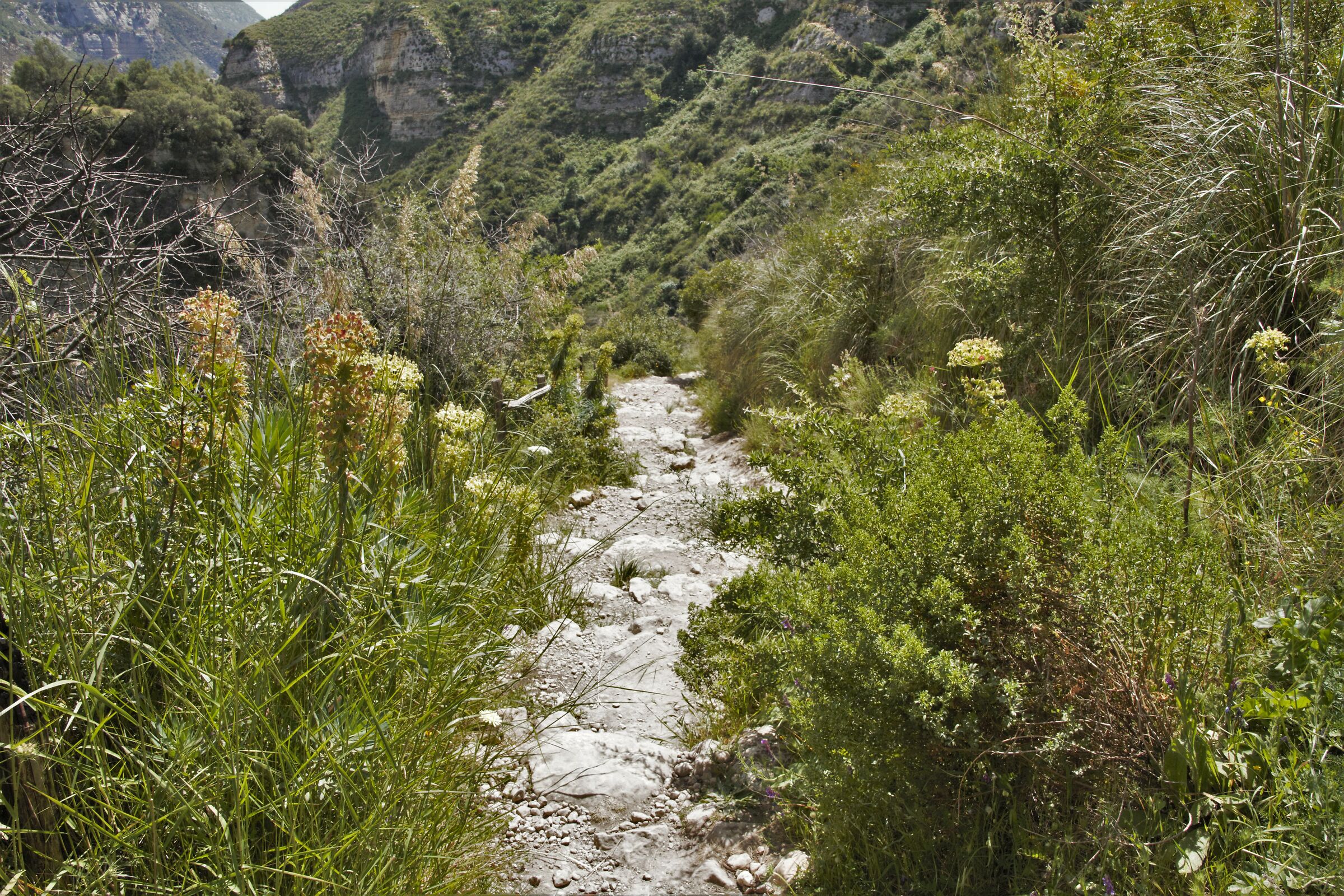 laghetti di Avola (sr)