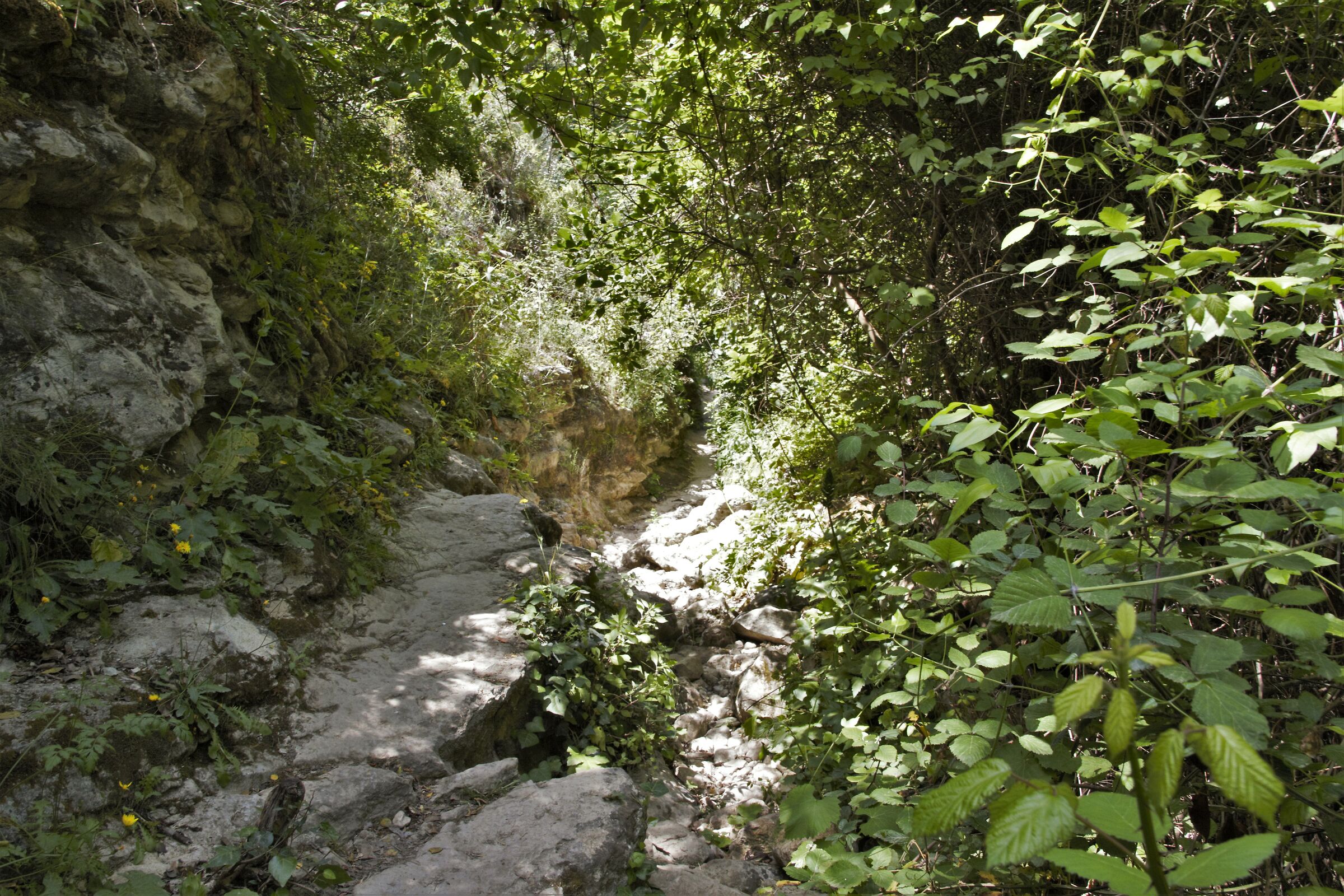 laghetti di Avola (sr)