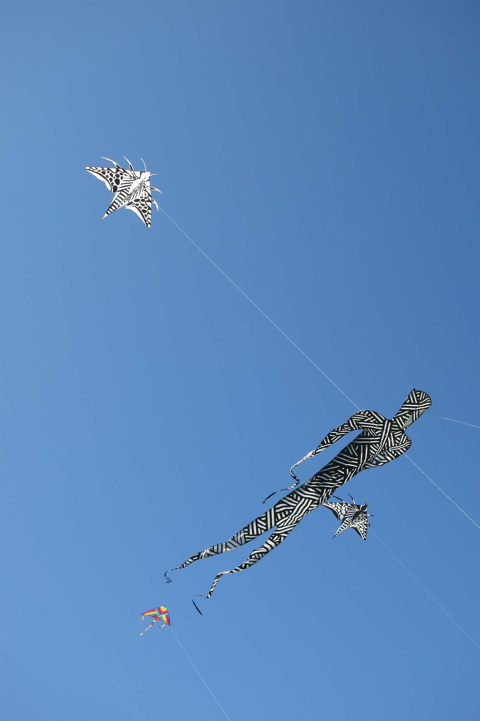 Kite-flying in Cervia