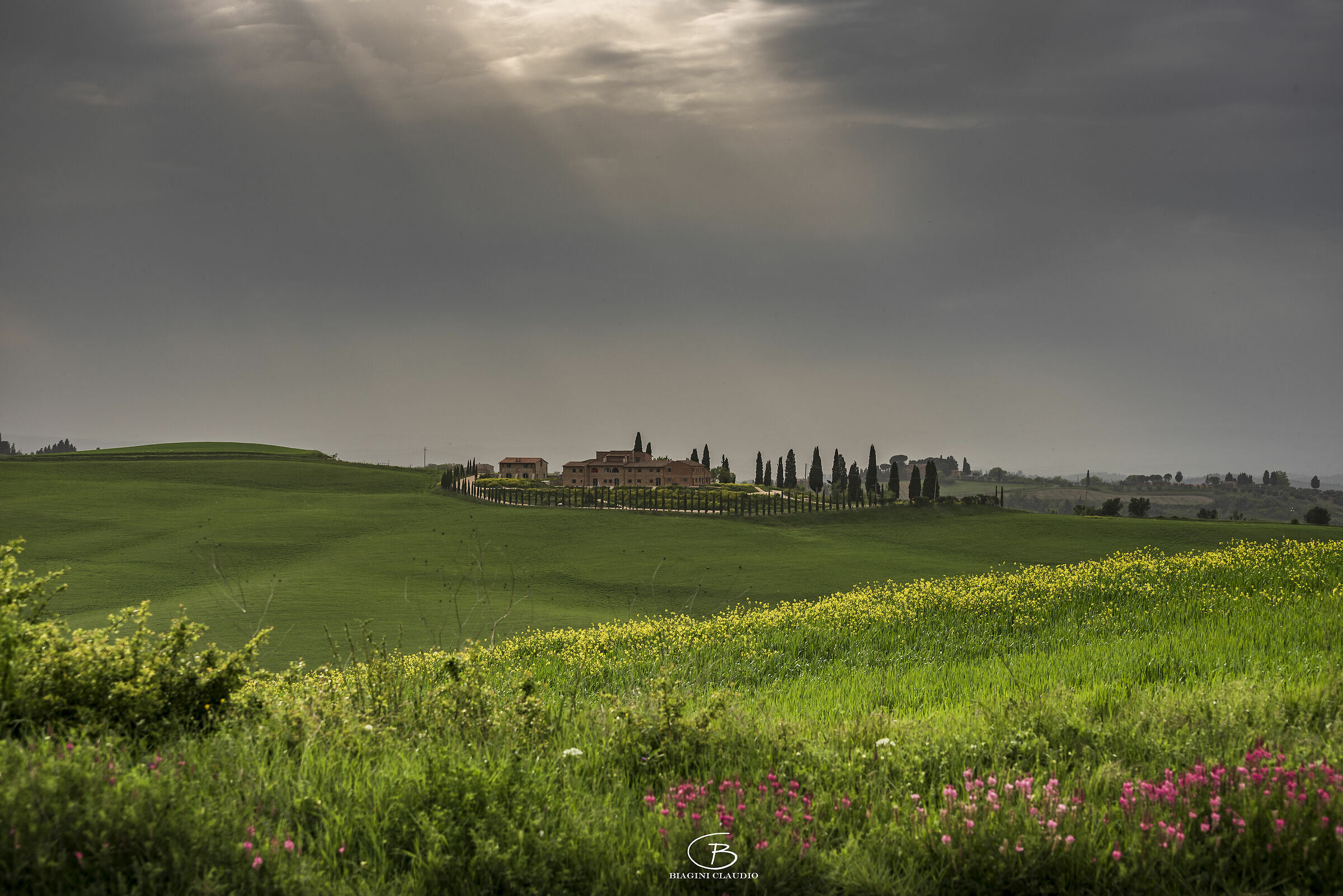 On the streets of Asciano...