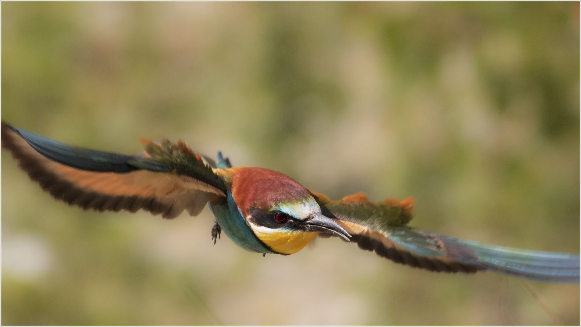 g. in volo