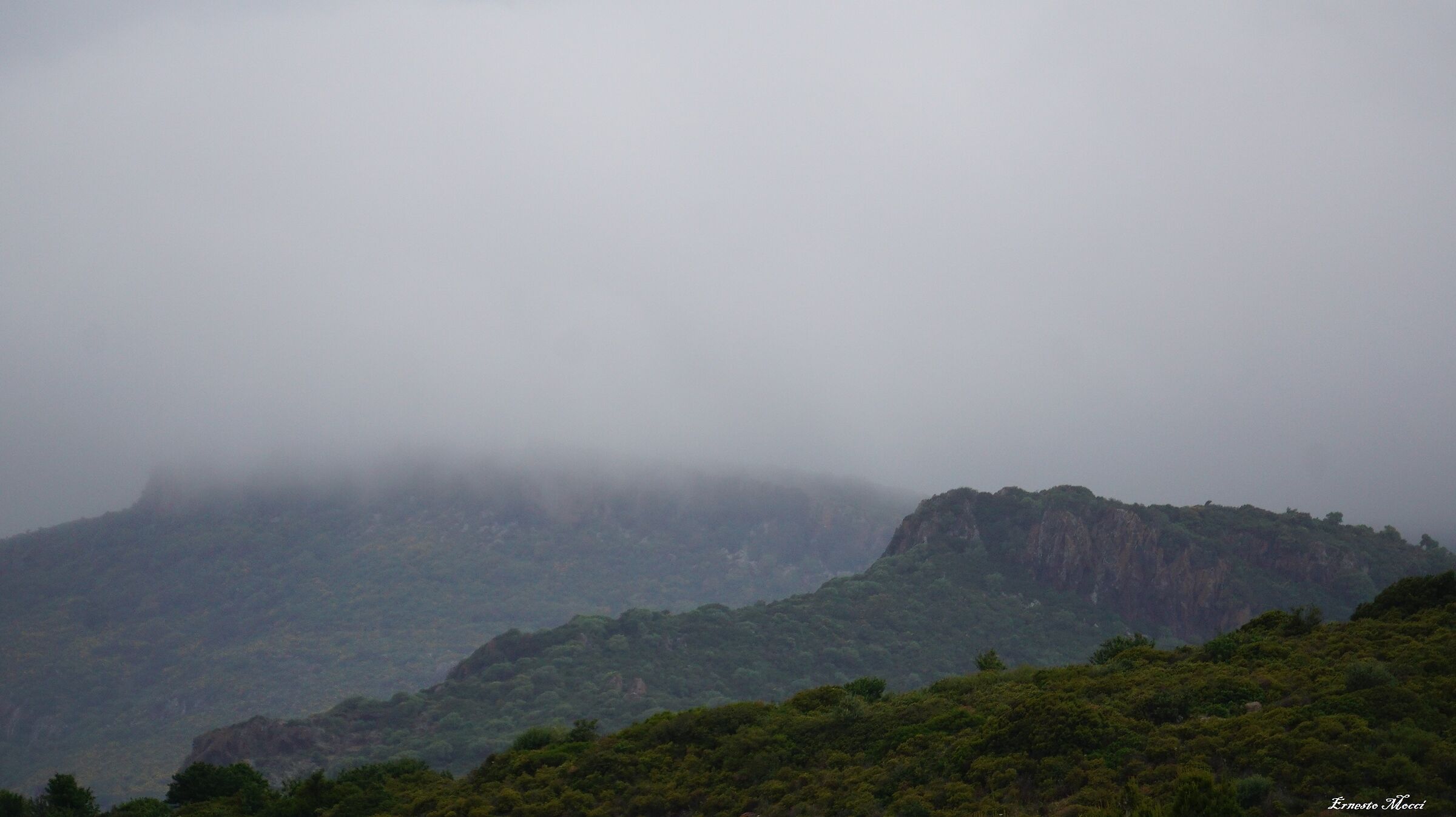 Bosa Niente di Buono da Nord-Est