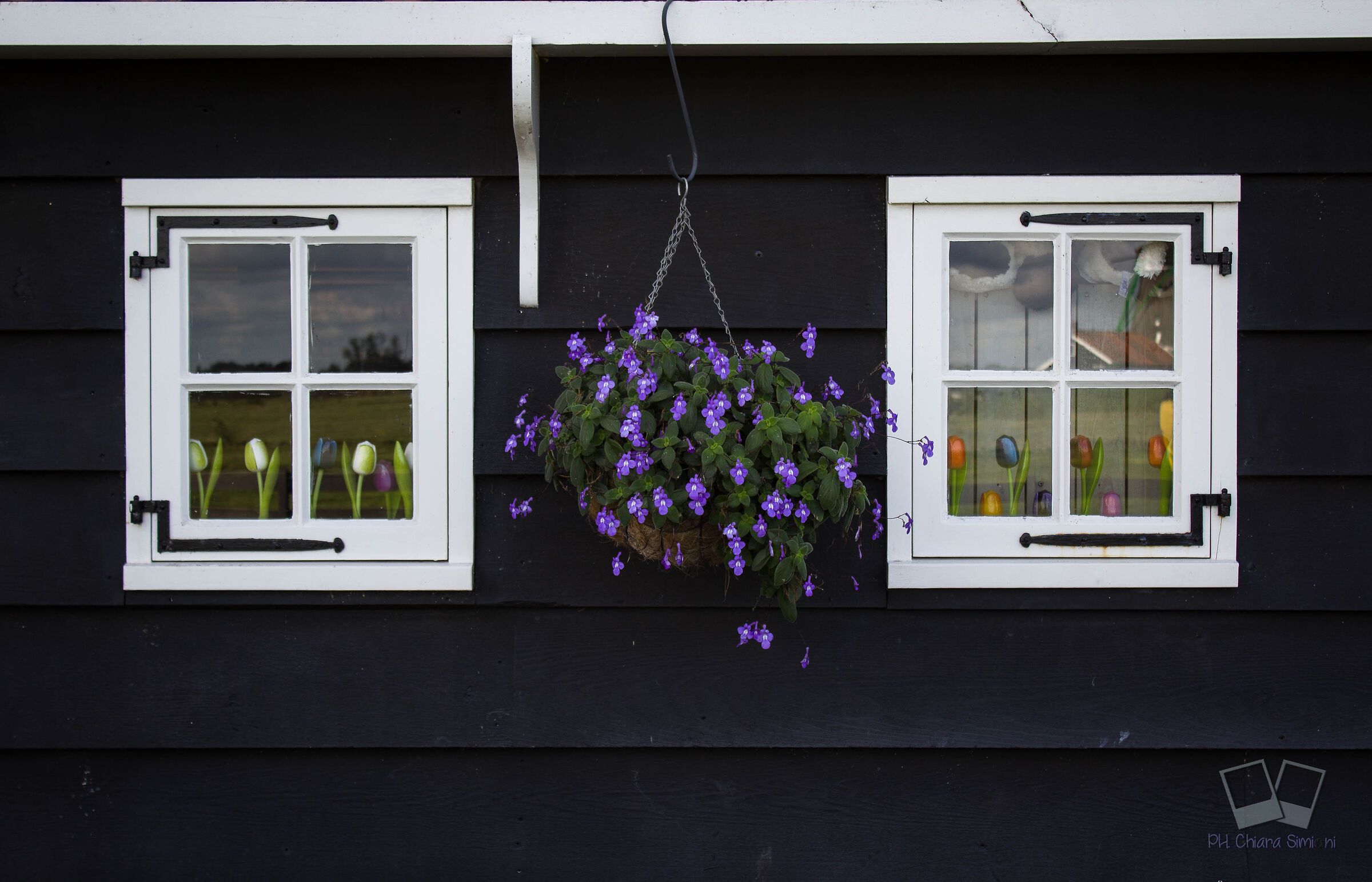 Holland View in detail!