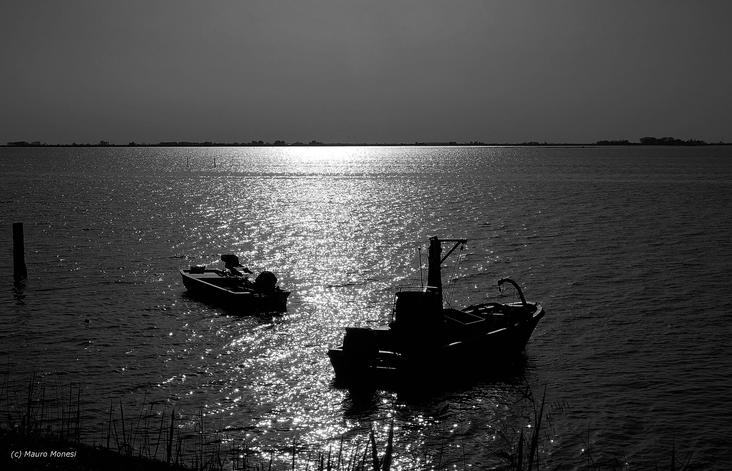 Ormeggiate nella sacca