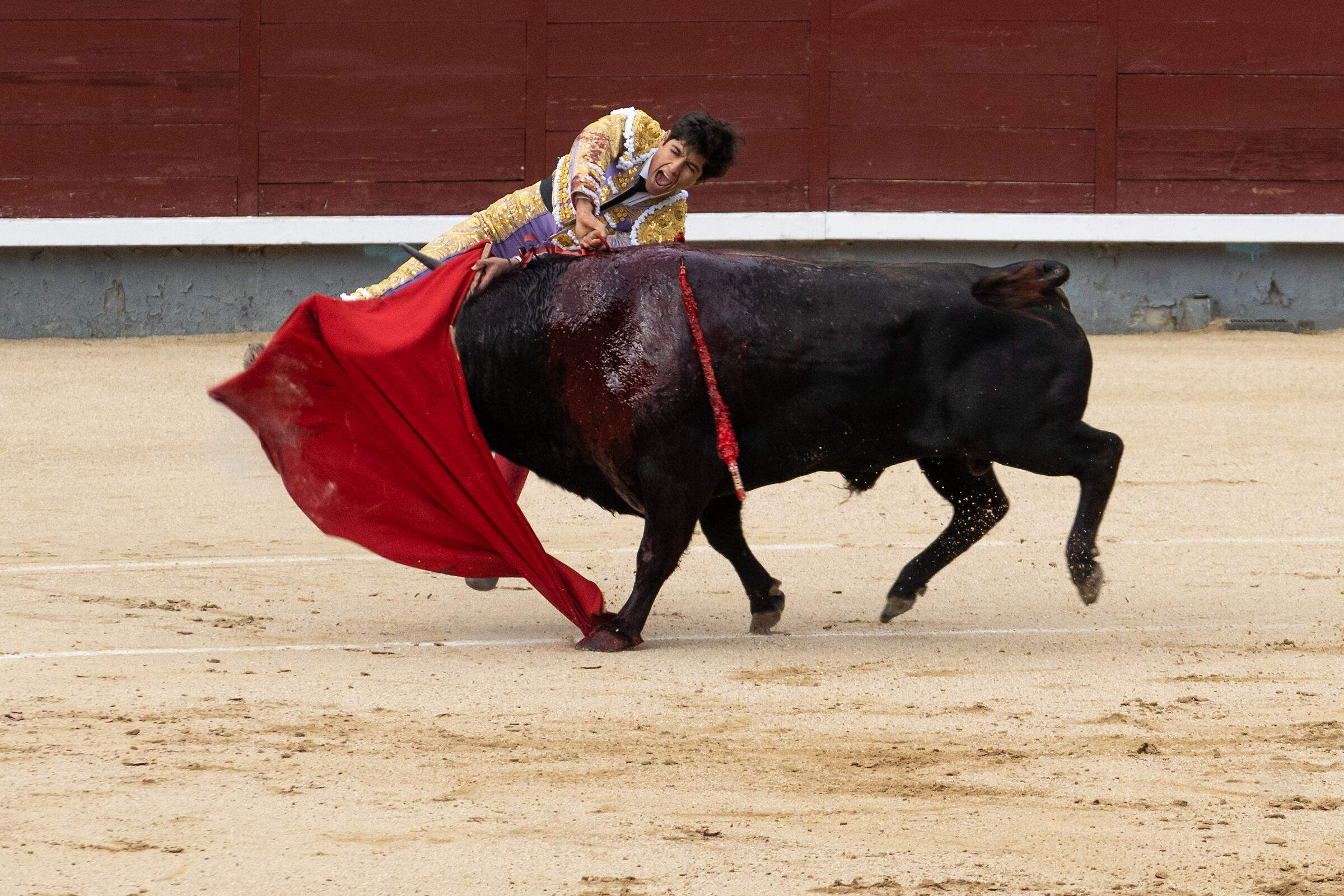 Cruelty and Liberation