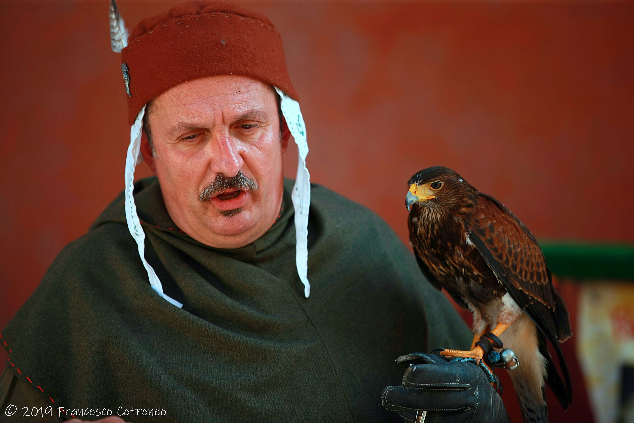 Falconer