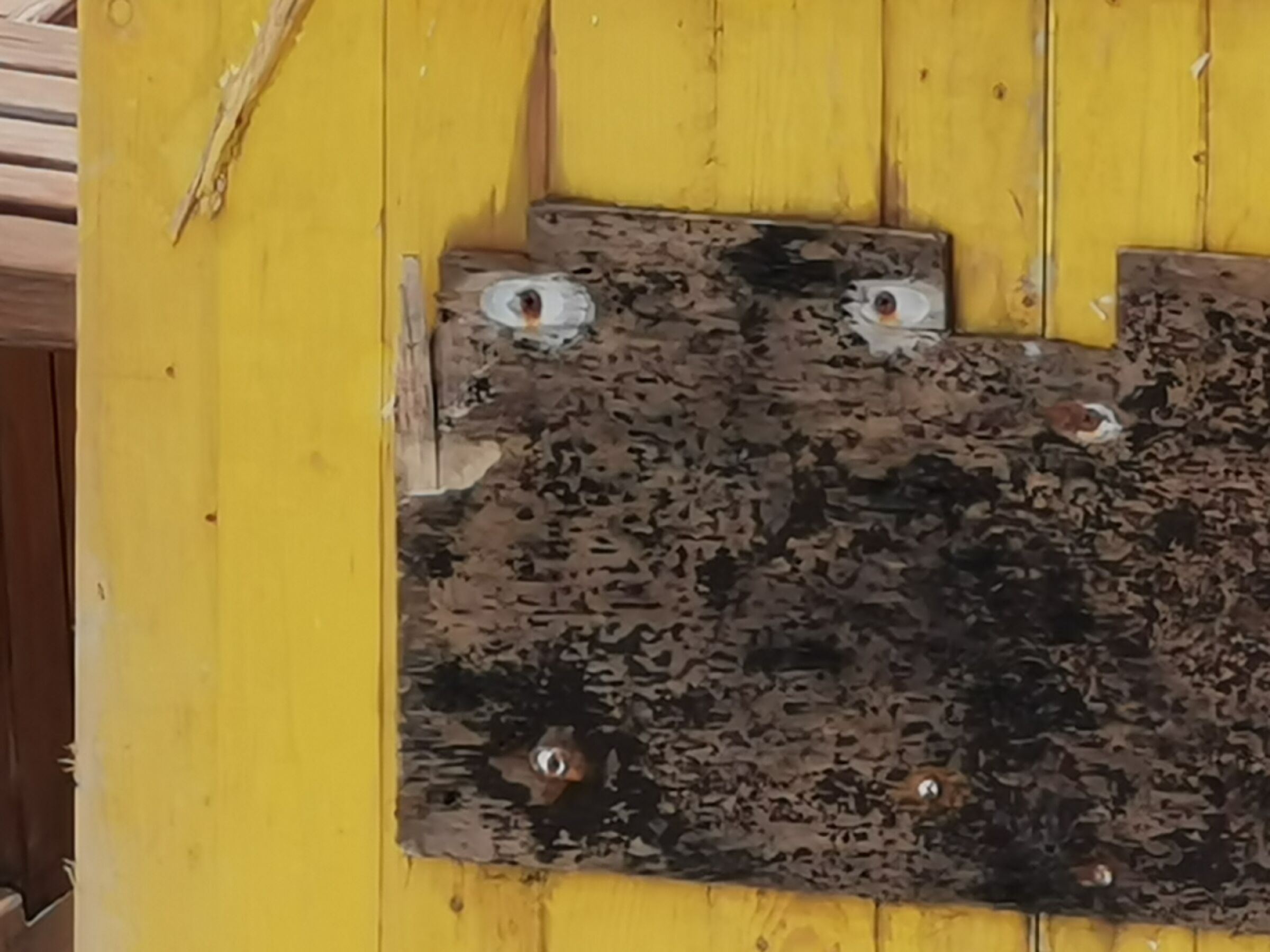 The "irritated special"